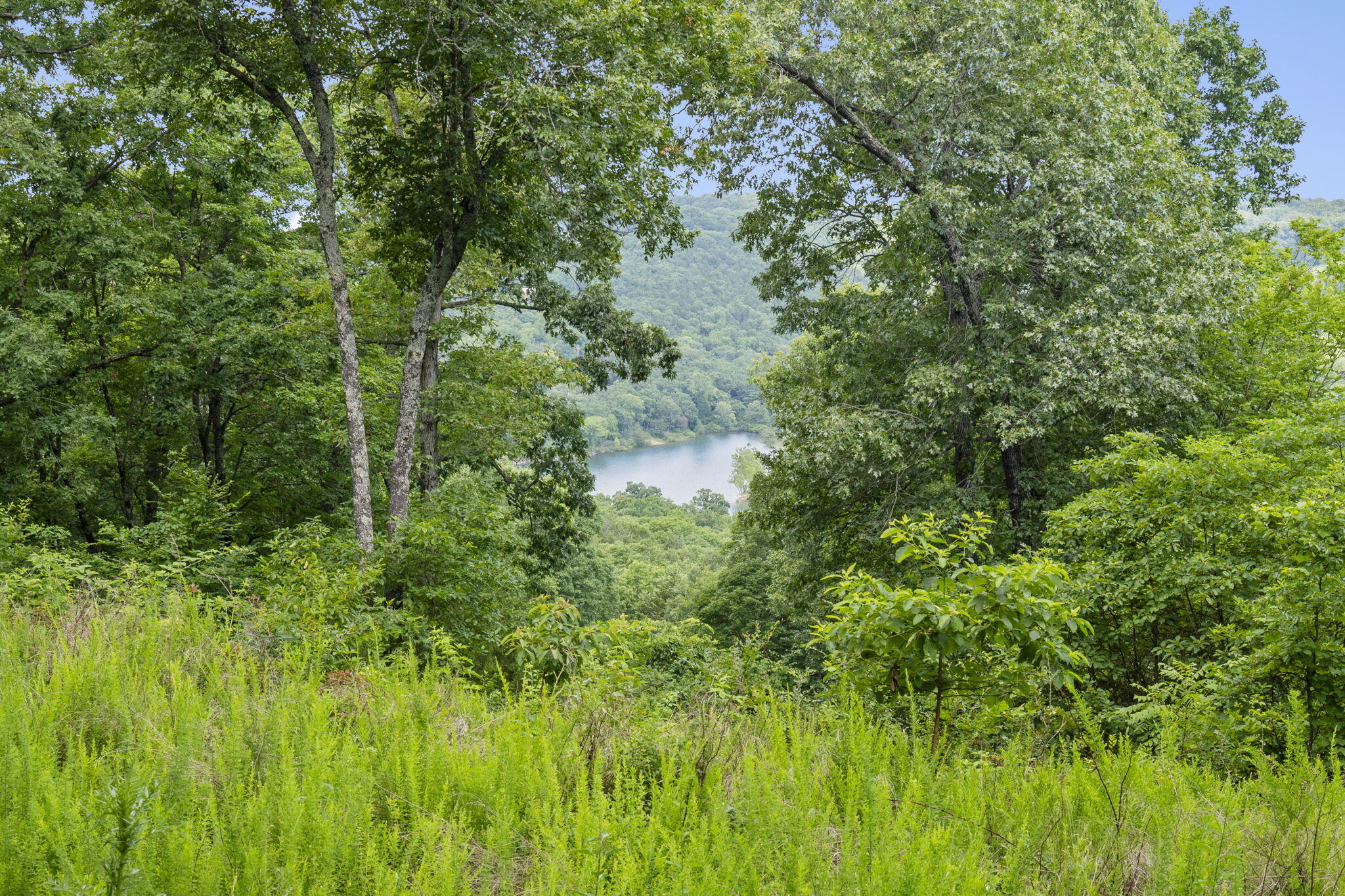 Photo 20 - Land for sale – Tbd  Luke Street  Branson West, MO