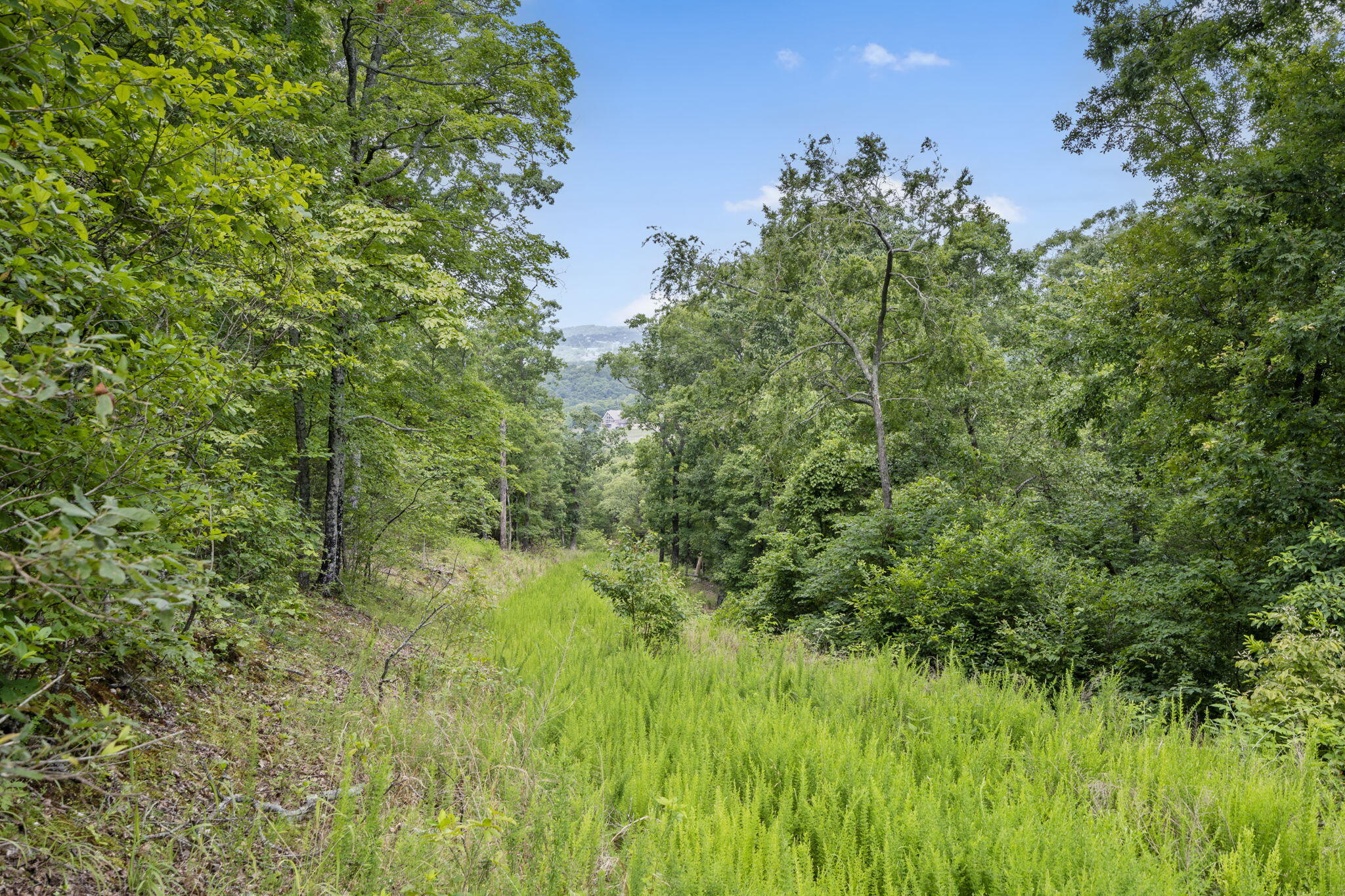 Photo 21 - Land for sale – Tbd  Luke Street  Branson West, MO