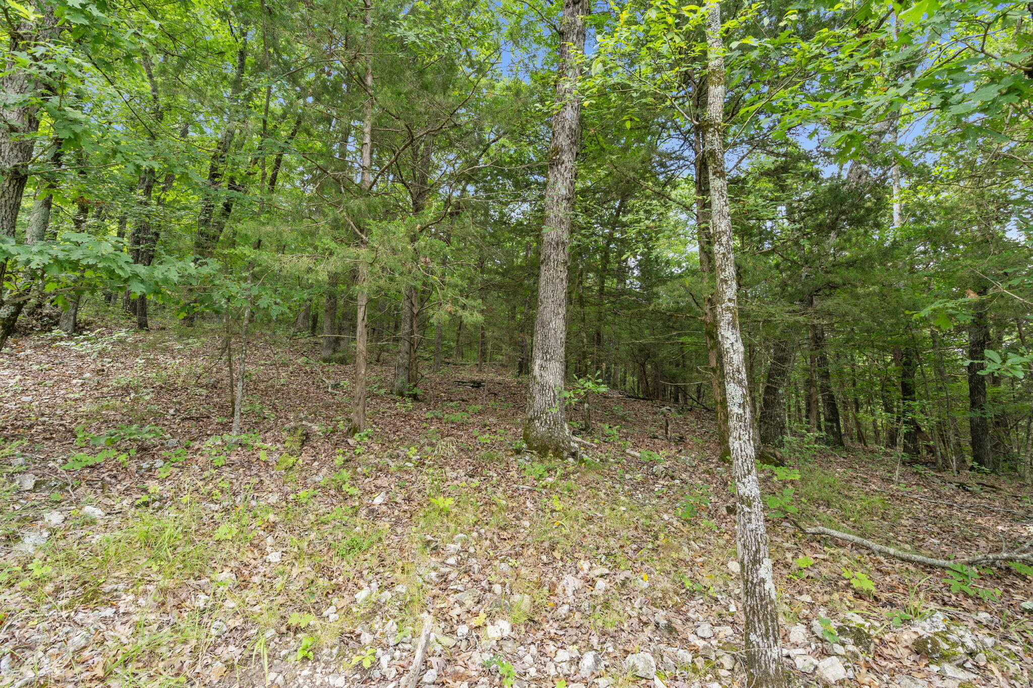 Photo 23 - Land for sale – Tbd  Luke Street  Branson West, MO