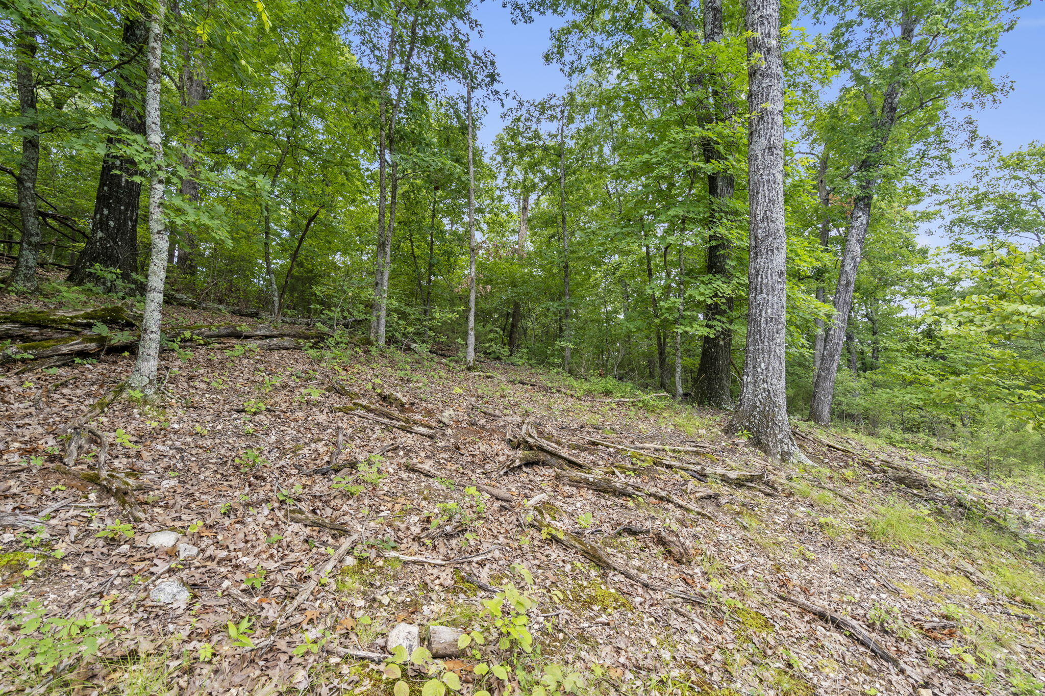 Photo 22 - Land for sale – Tbd  Luke Street  Branson West, MO