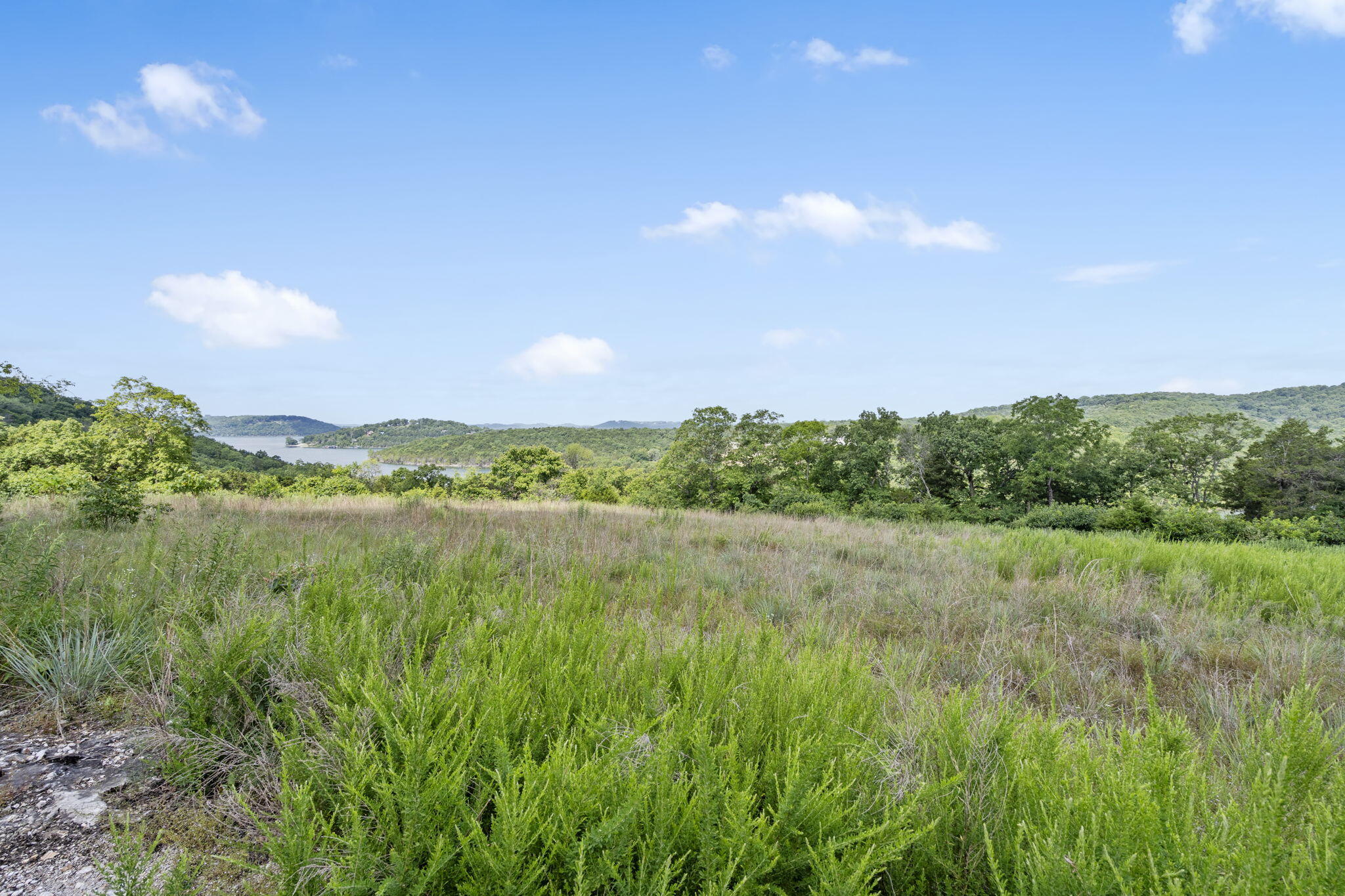 Photo 8 - Land for sale – Tbd  Luke Street  Branson West, MO