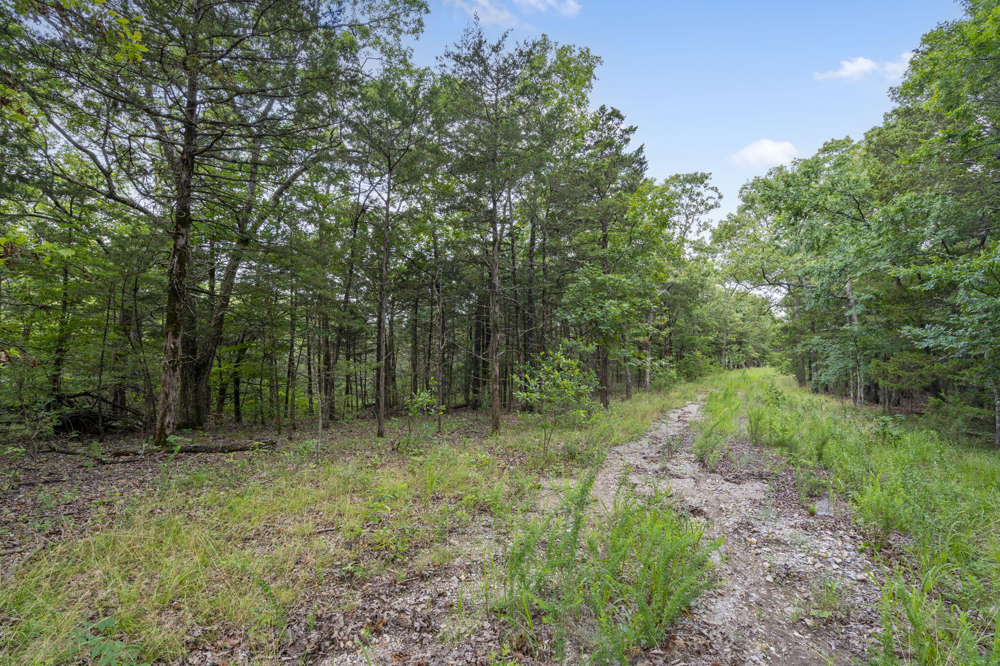 Photo 26 - Land for sale – Tbd  Luke Street  Branson West, MO