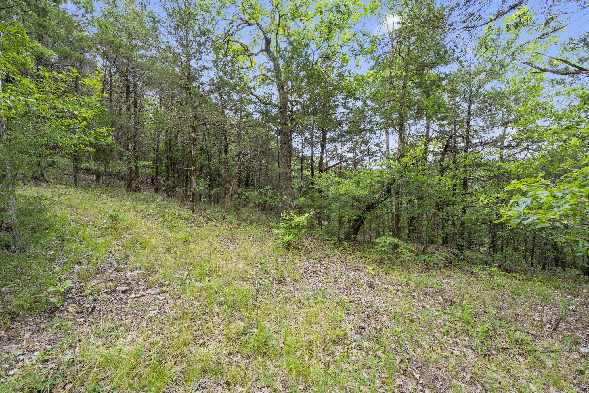 Photo 24 - Land for sale – Tbd  Luke Street  Branson West, MO