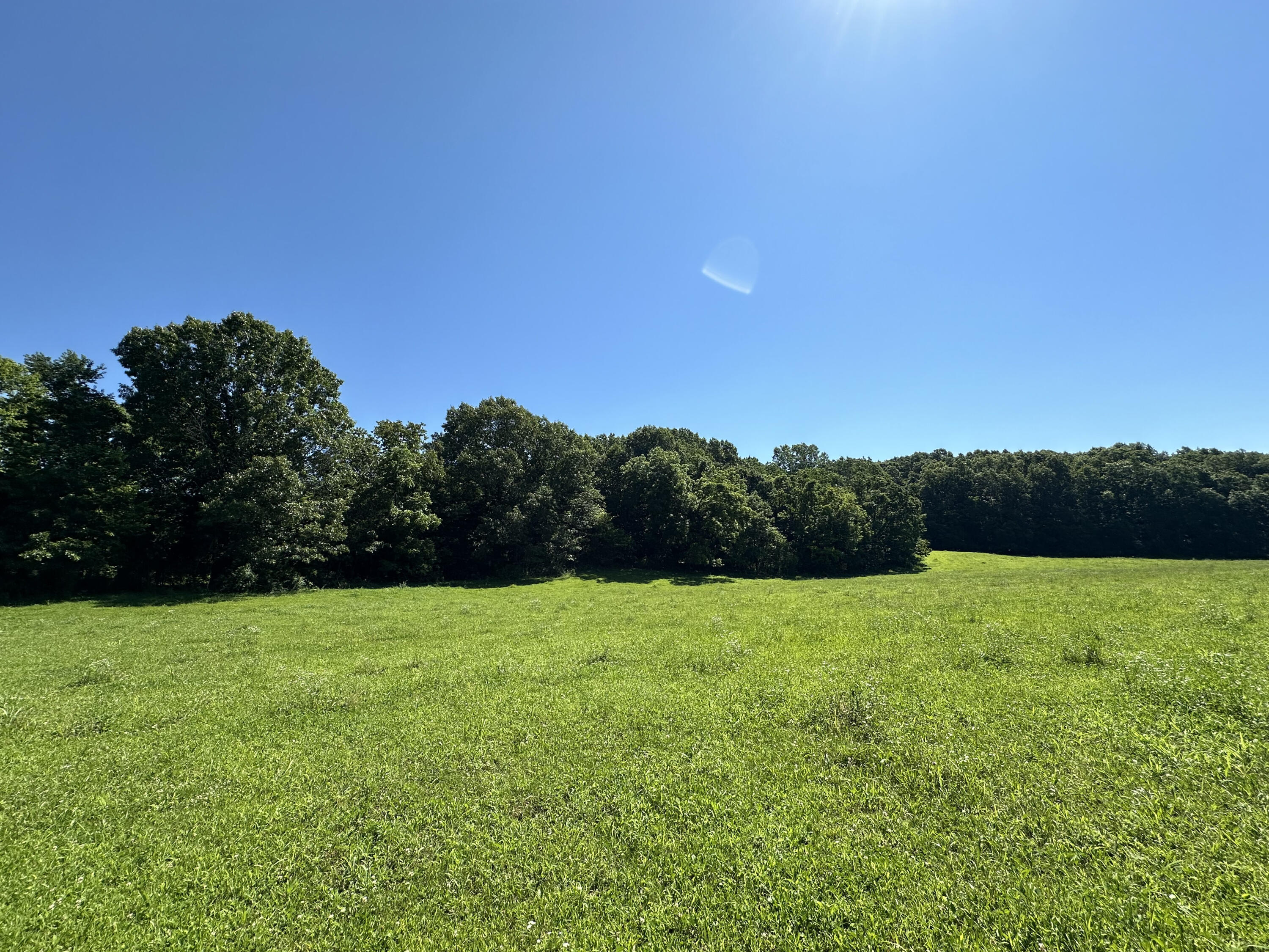 Photo 5 - Farm for sale – 443  Marsha Road  Billings, MO