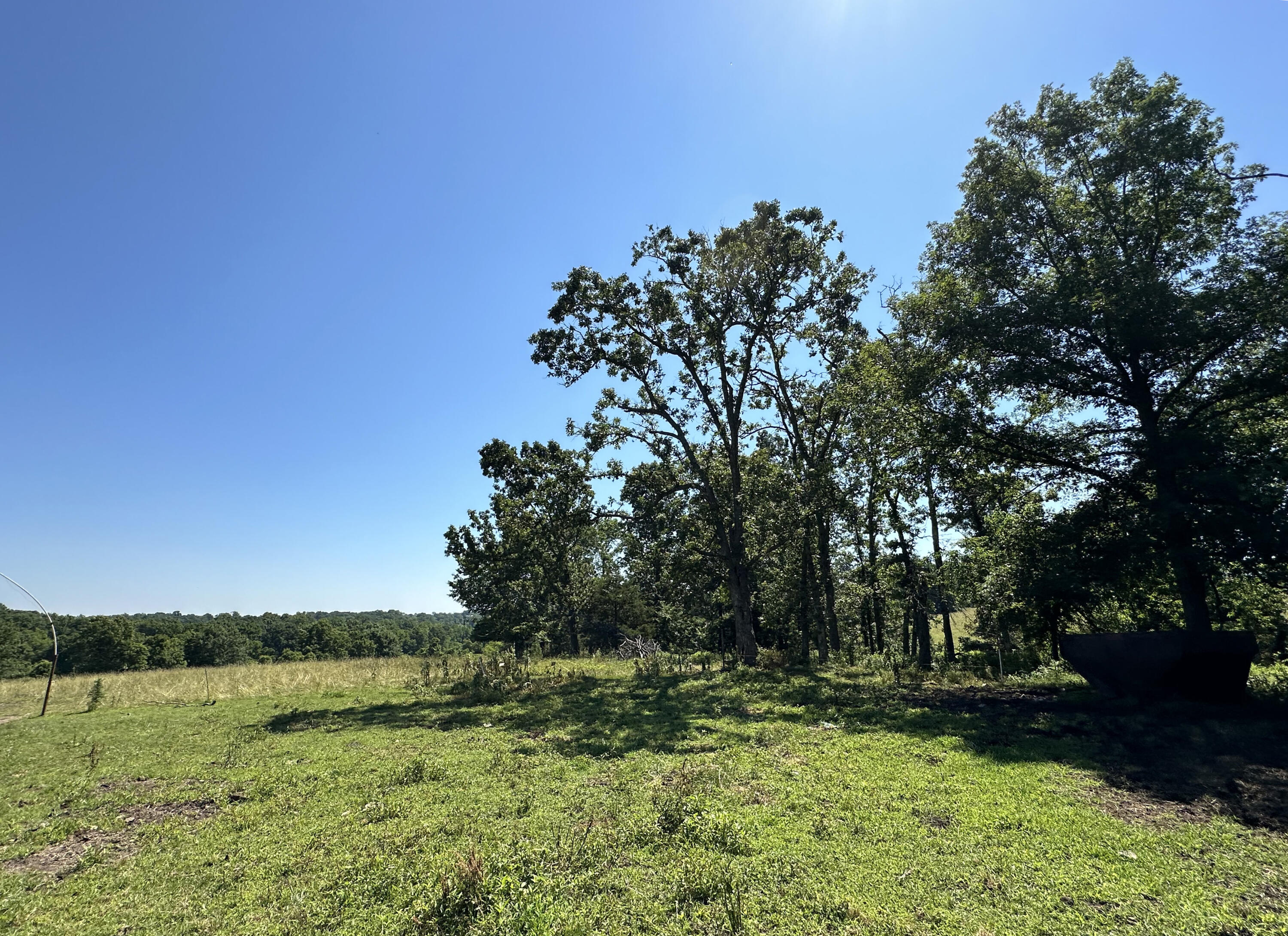 Photo 17 - Farm for sale – 443  Marsha Road  Billings, MO