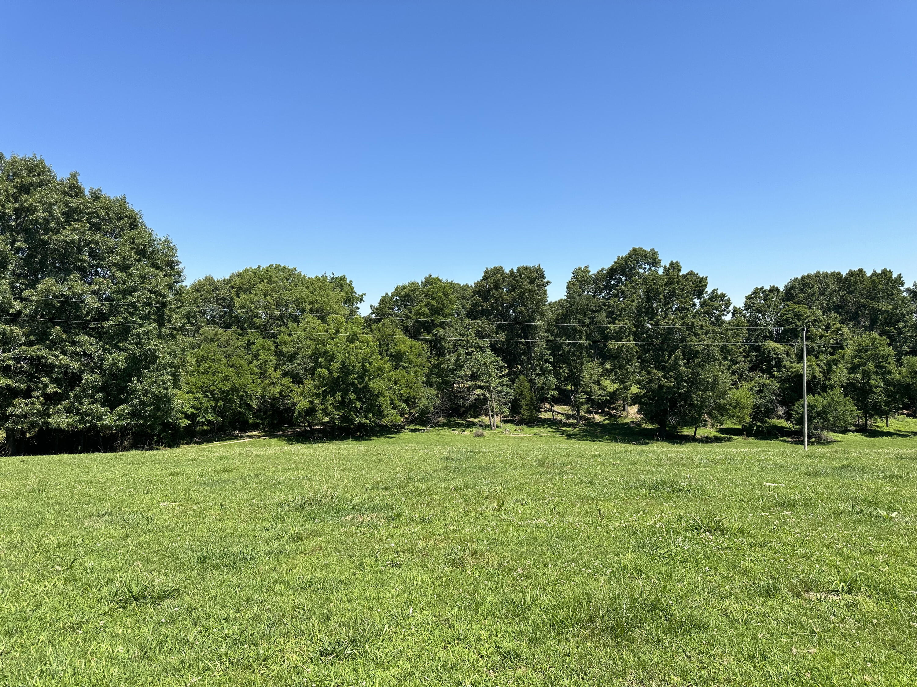 Photo 24 - Farm for sale – 443  Marsha Road  Billings, MO