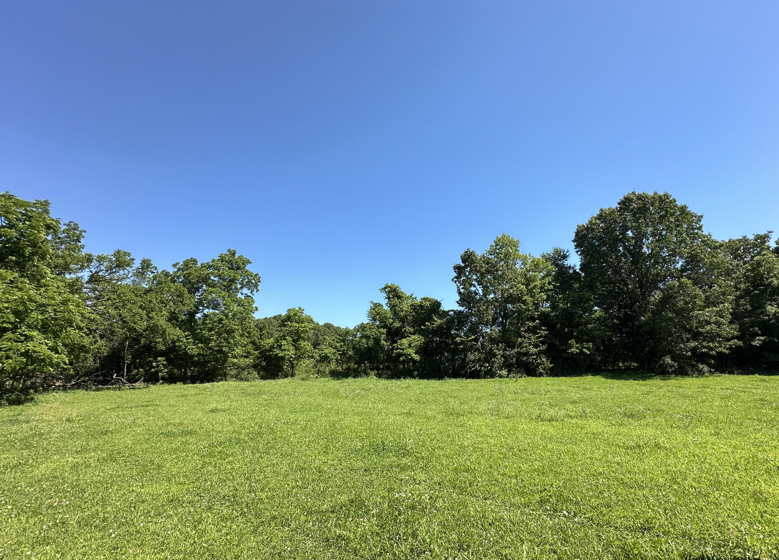 Photo 6 - Farm for sale – 443  Marsha Road  Billings, MO