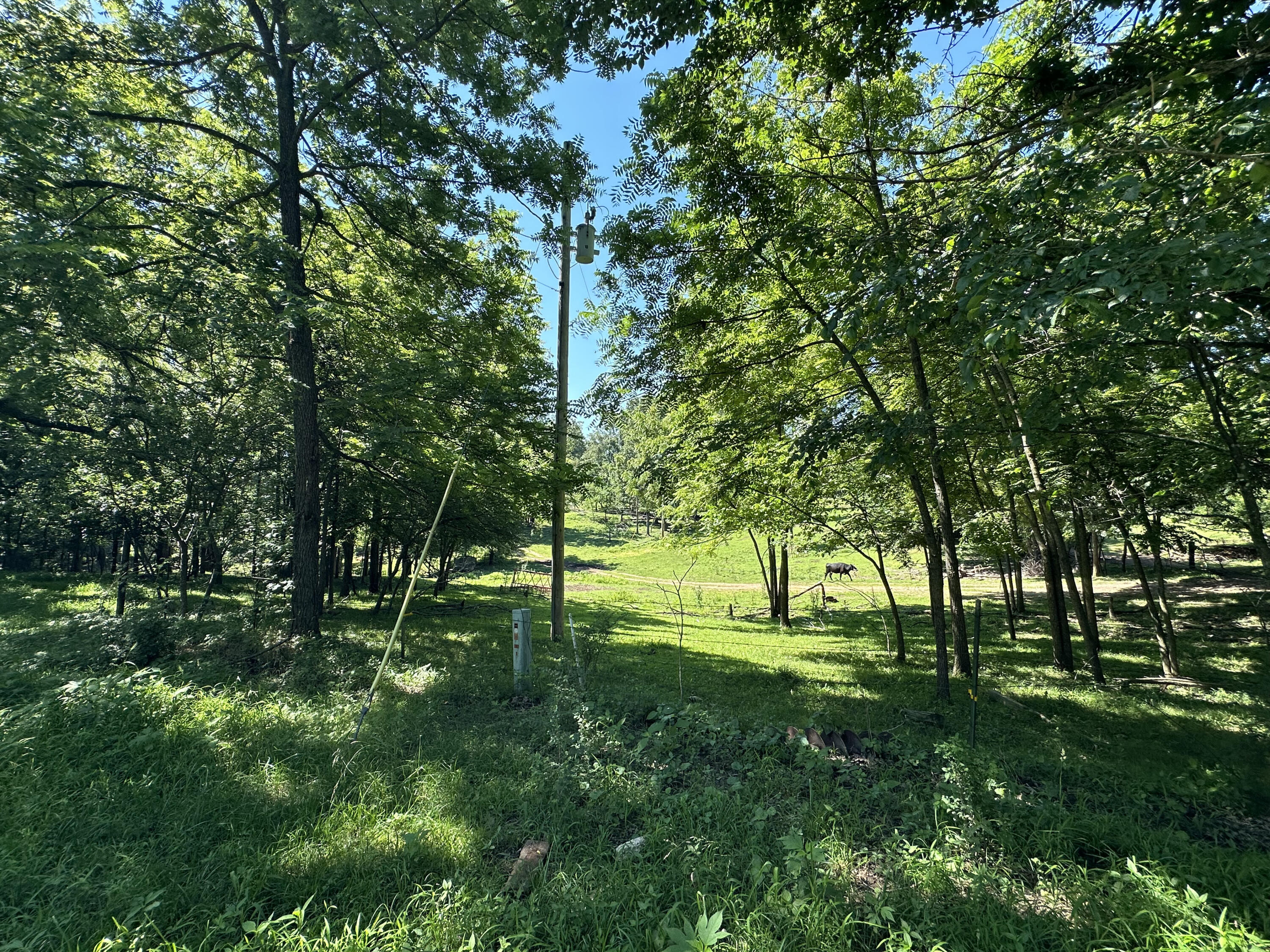 Photo 12 - Farm for sale – 443  Marsha Road  Billings, MO
