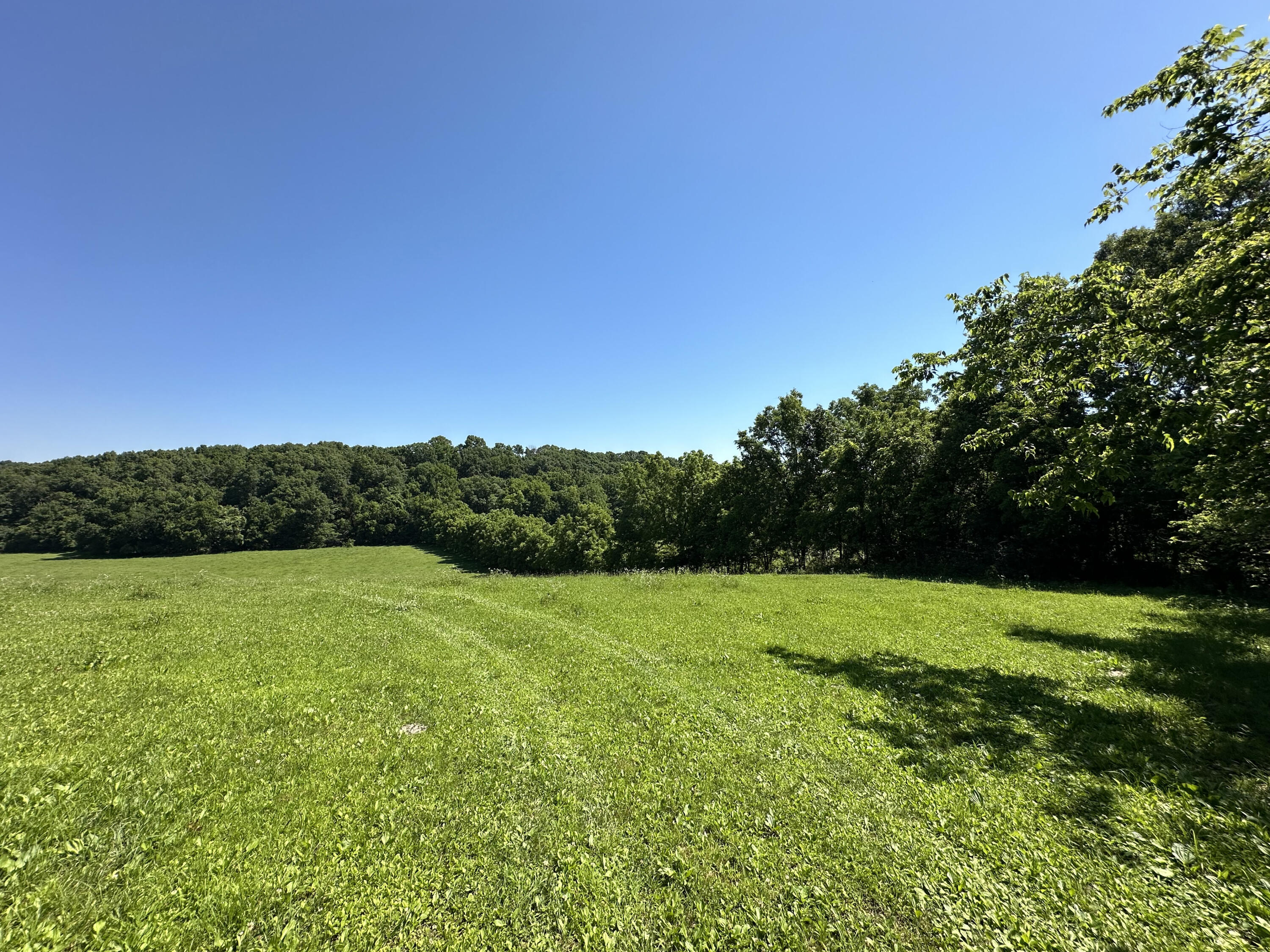 Photo 7 - Farm for sale – 443  Marsha Road  Billings, MO