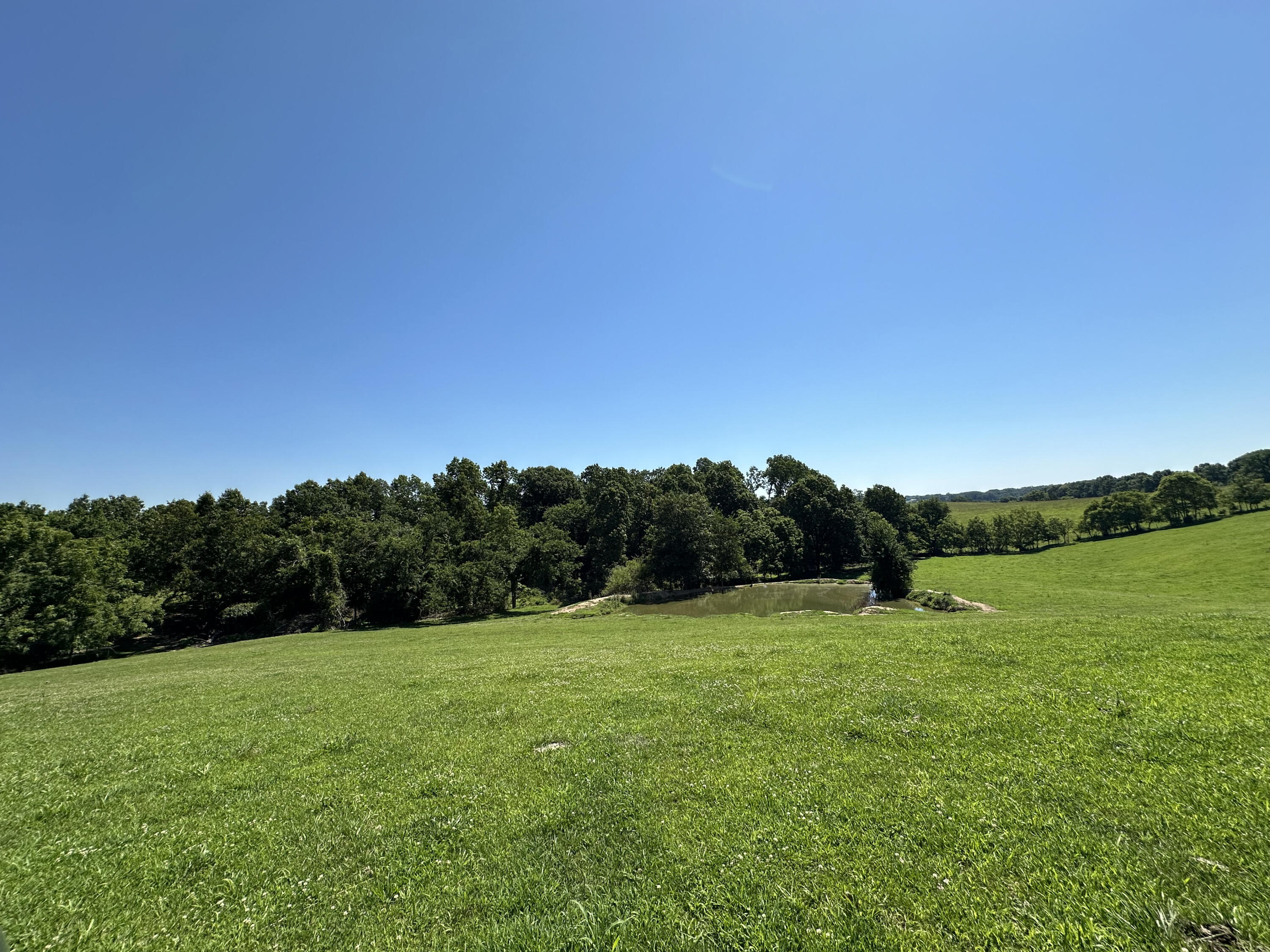 Photo 21 - Farm for sale – 443  Marsha Road  Billings, MO