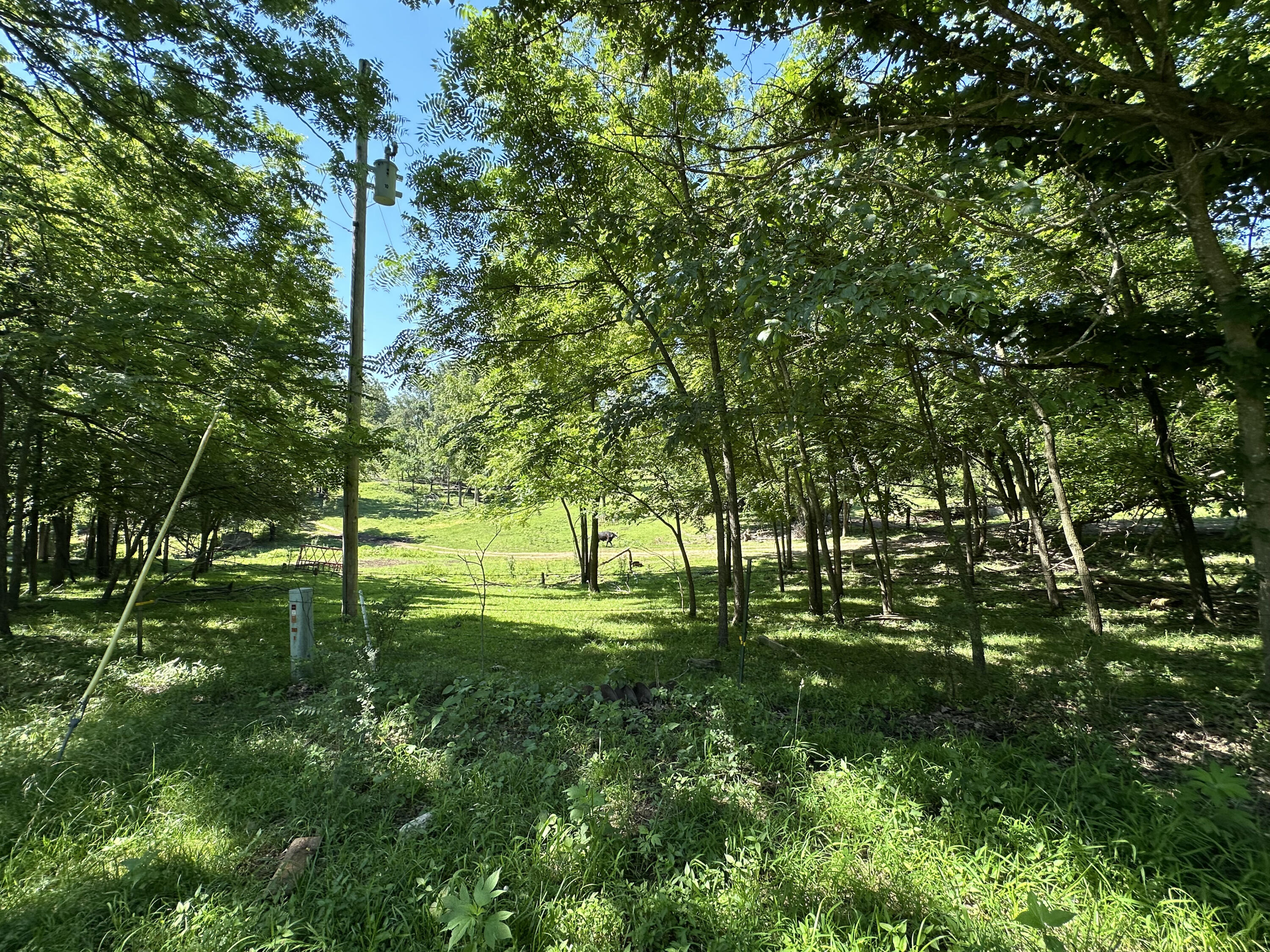 Photo 11 - Farm for sale – 443  Marsha Road  Billings, MO