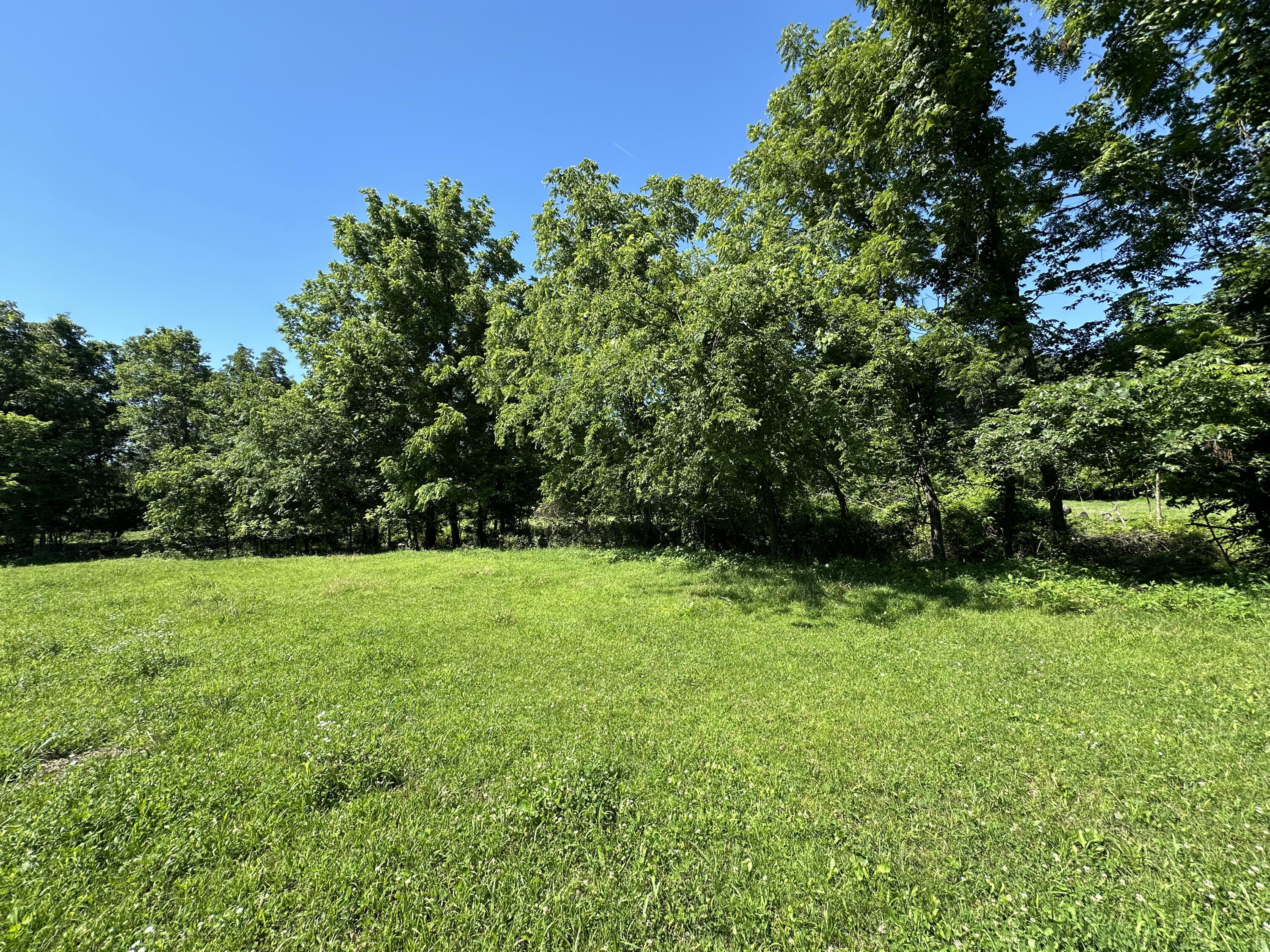 Photo 3 - Farm for sale – 443  Marsha Road  Billings, MO