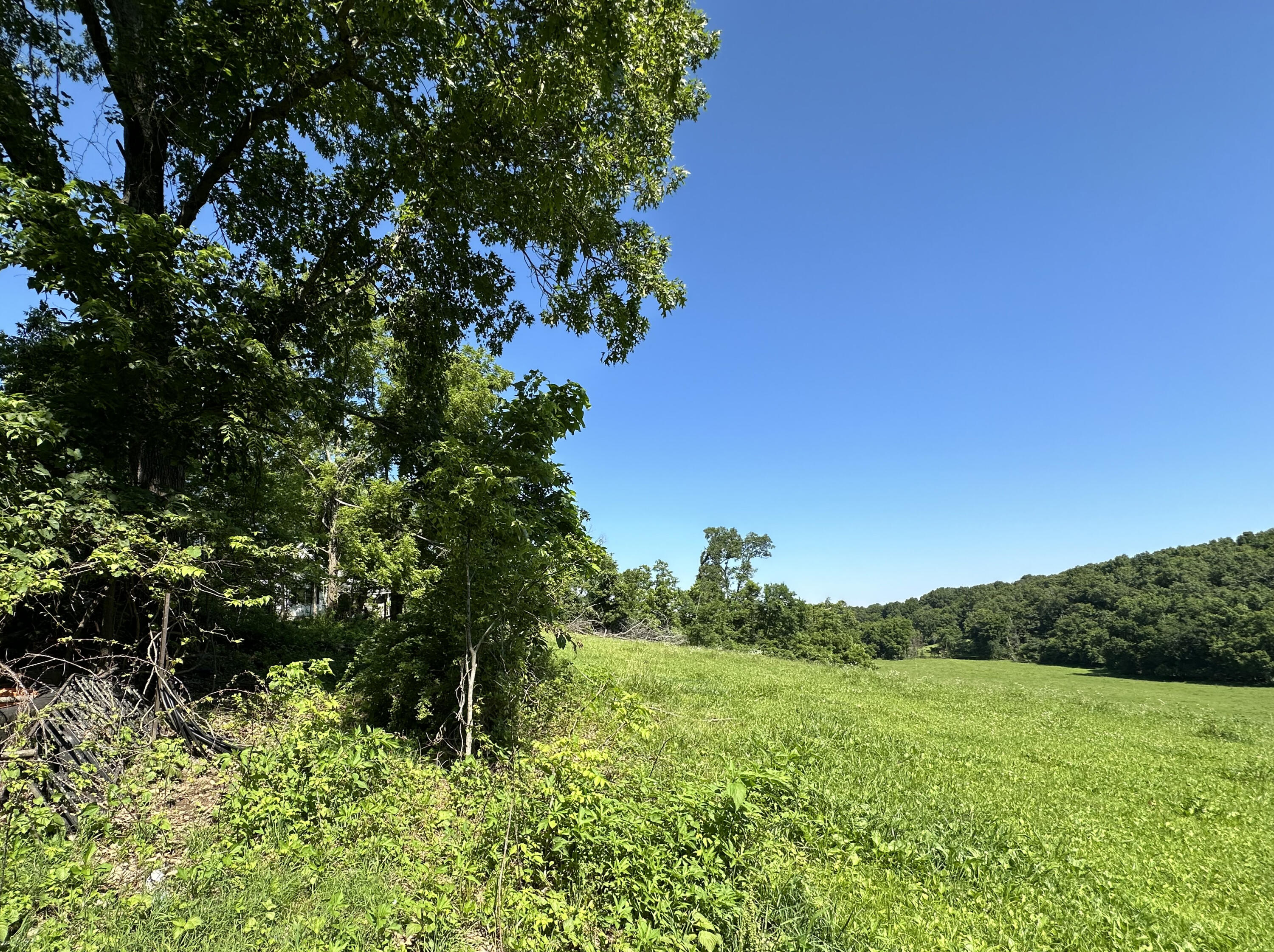Photo 8 - Farm for sale – 443  Marsha Road  Billings, MO