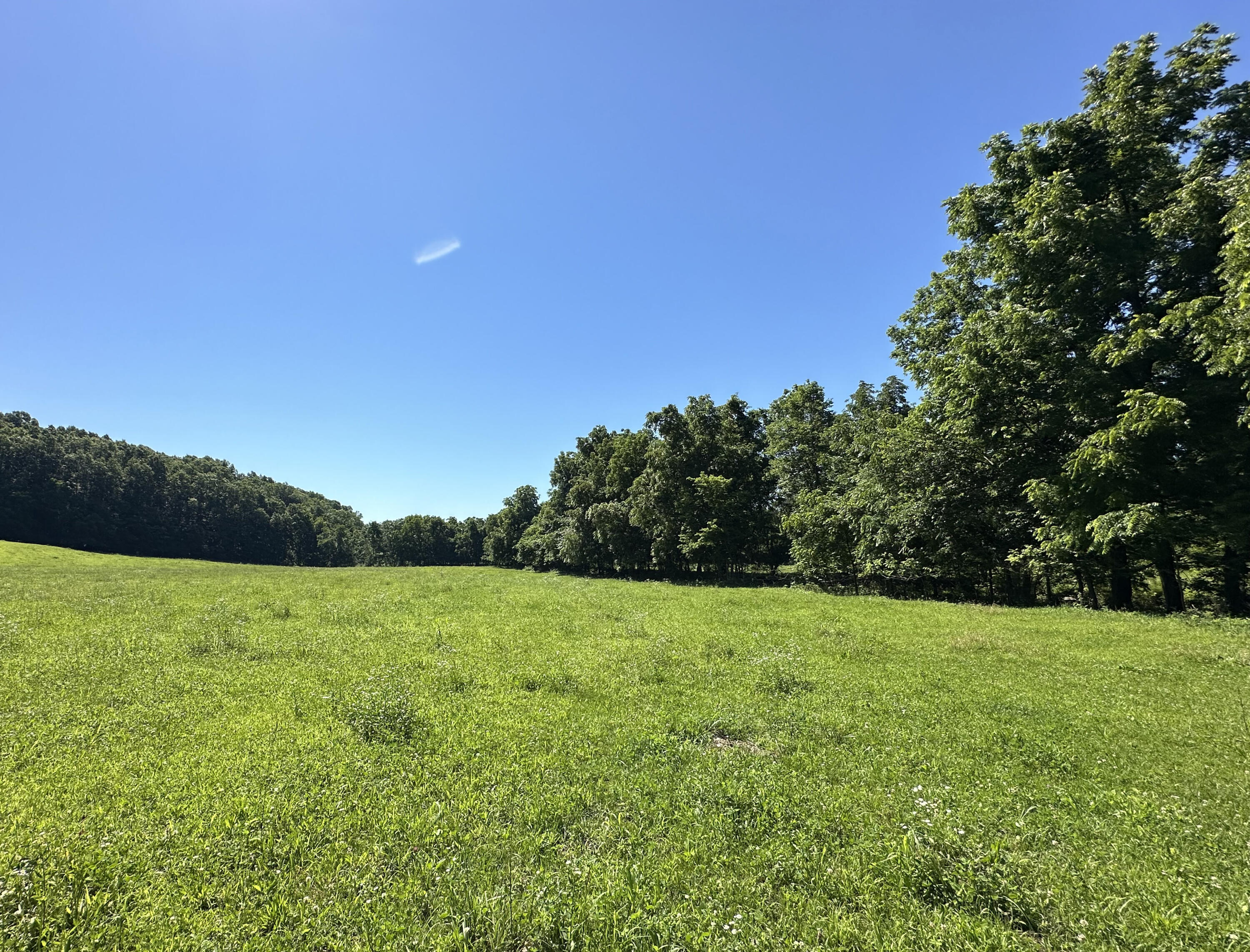 Photo 4 - Farm for sale – 443  Marsha Road  Billings, MO