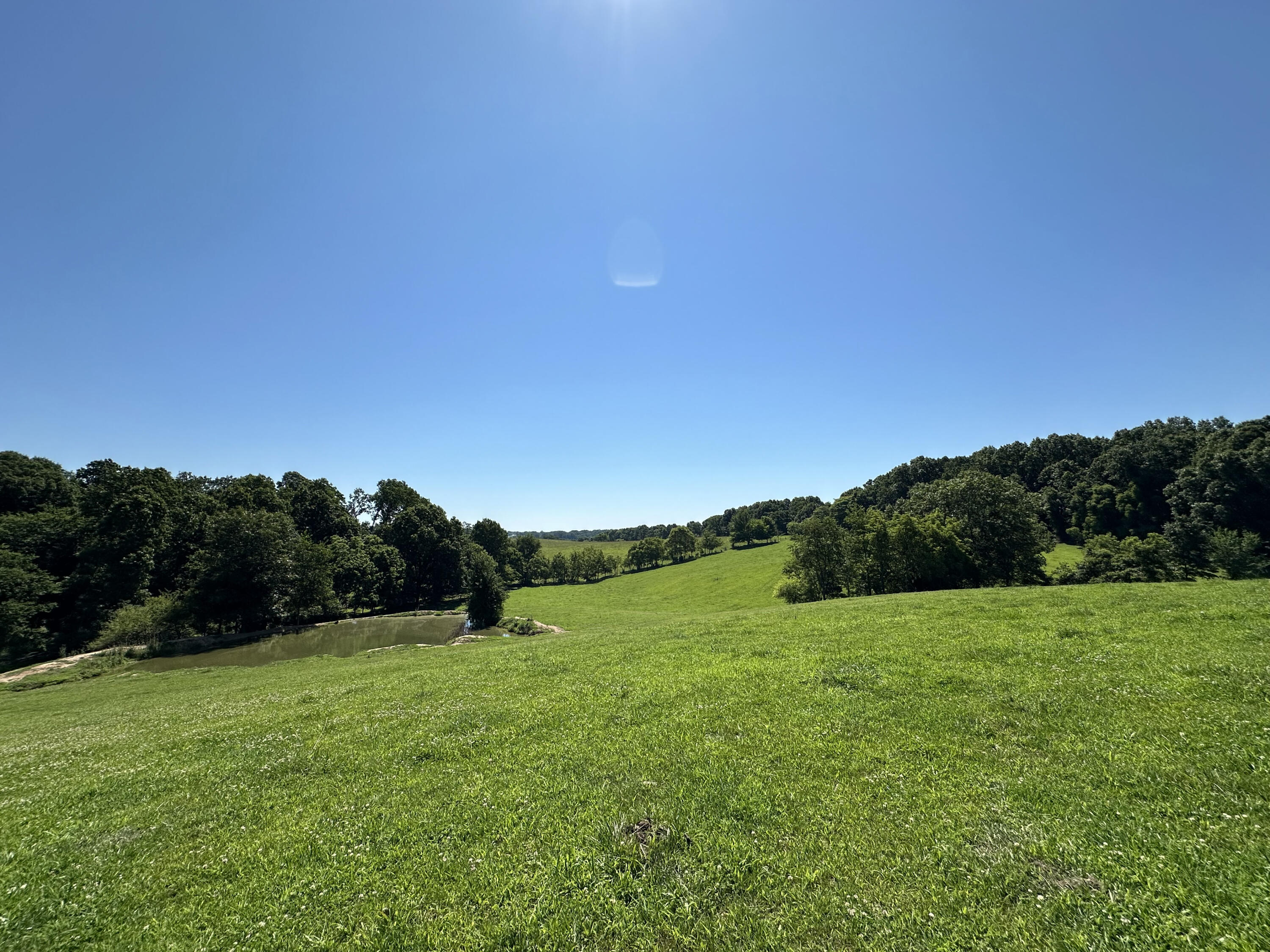 Photo 19 - Farm for sale – 443  Marsha Road  Billings, MO