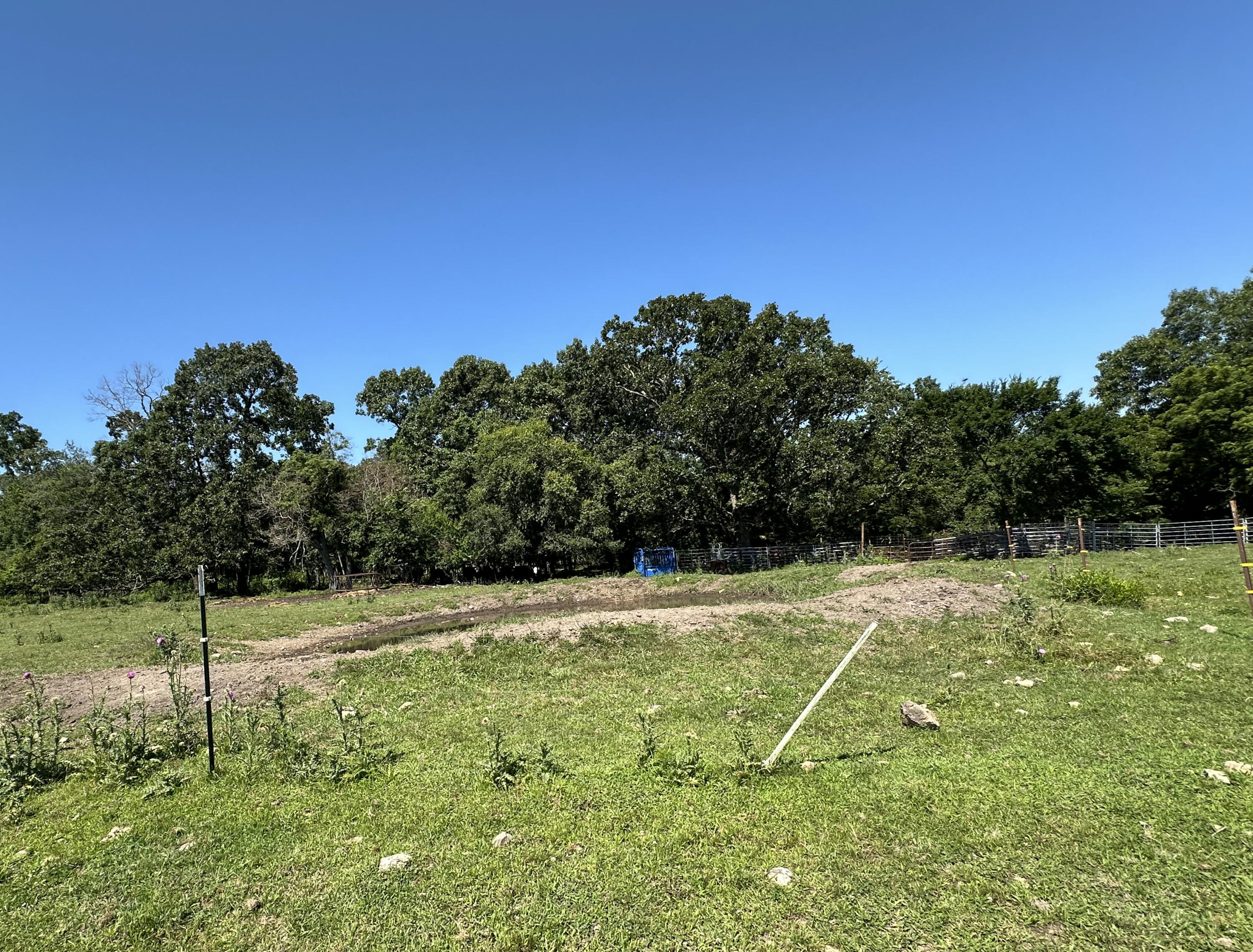 Photo 16 - Farm for sale – 443  Marsha Road  Billings, MO