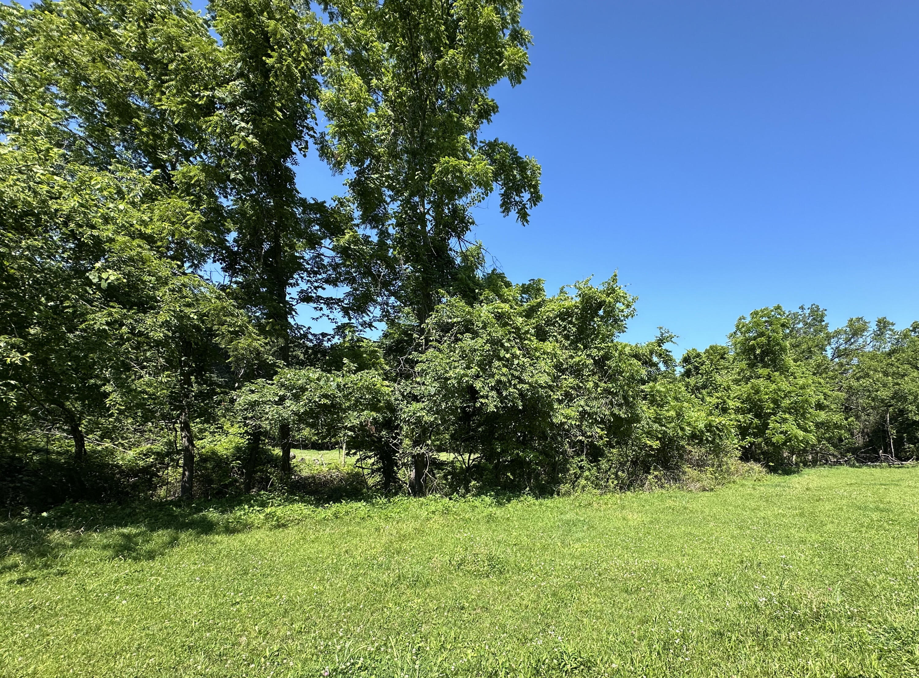 Photo 2 - Farm for sale – 443  Marsha Road  Billings, MO