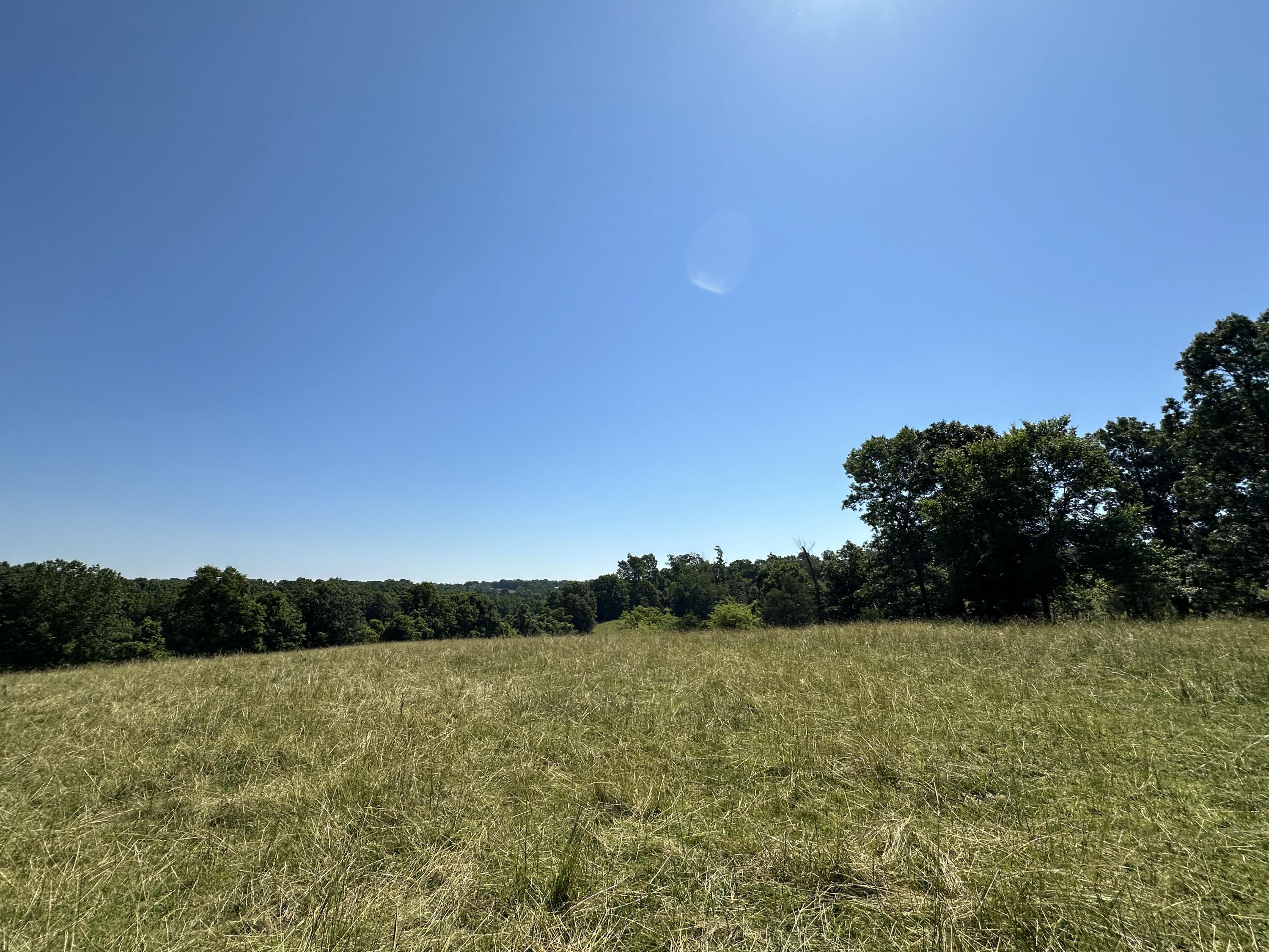 Photo 18 - Farm for sale – 443  Marsha Road  Billings, MO
