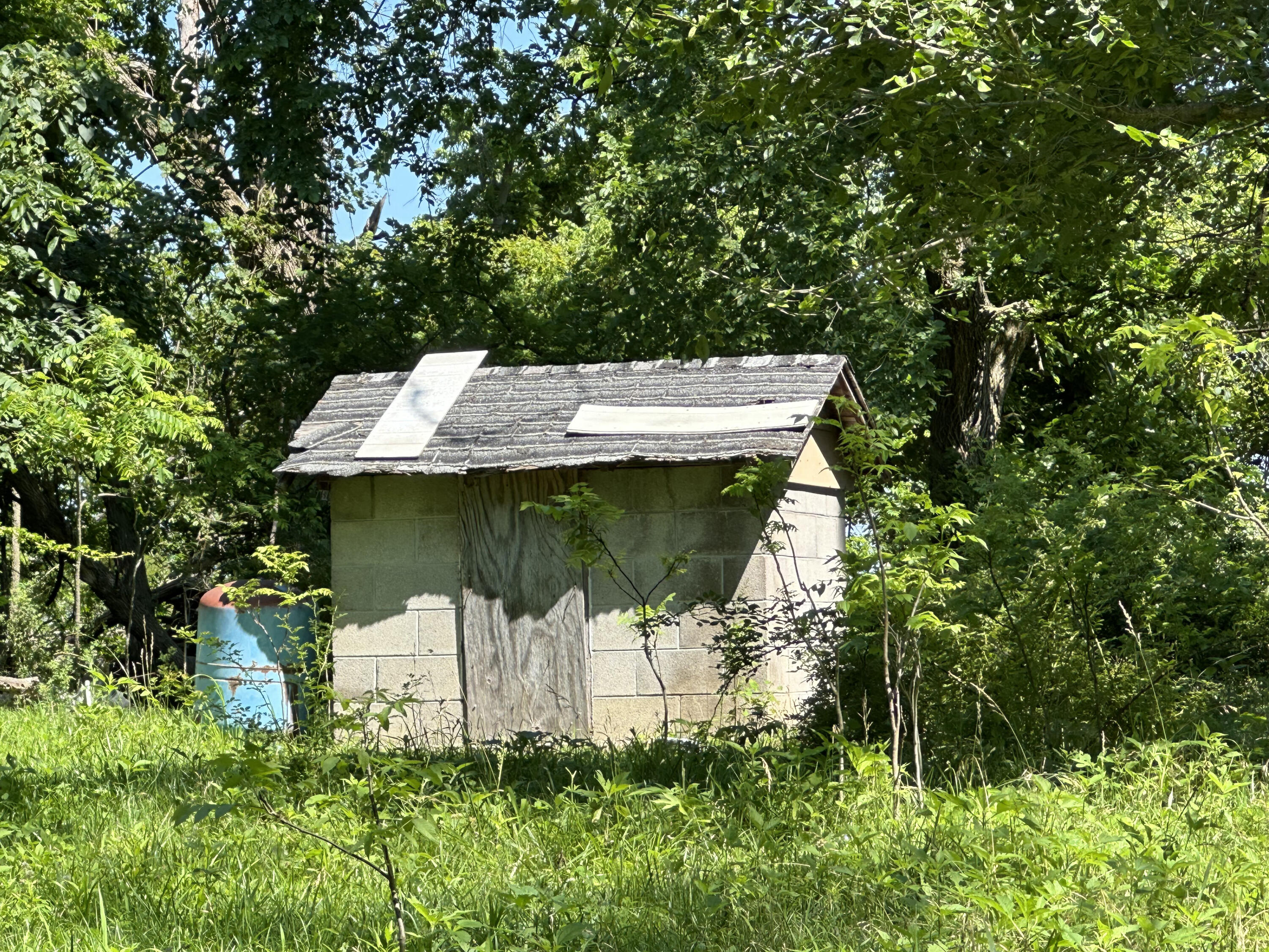 Photo 10 - Farm for sale – 443  Marsha Road  Billings, MO