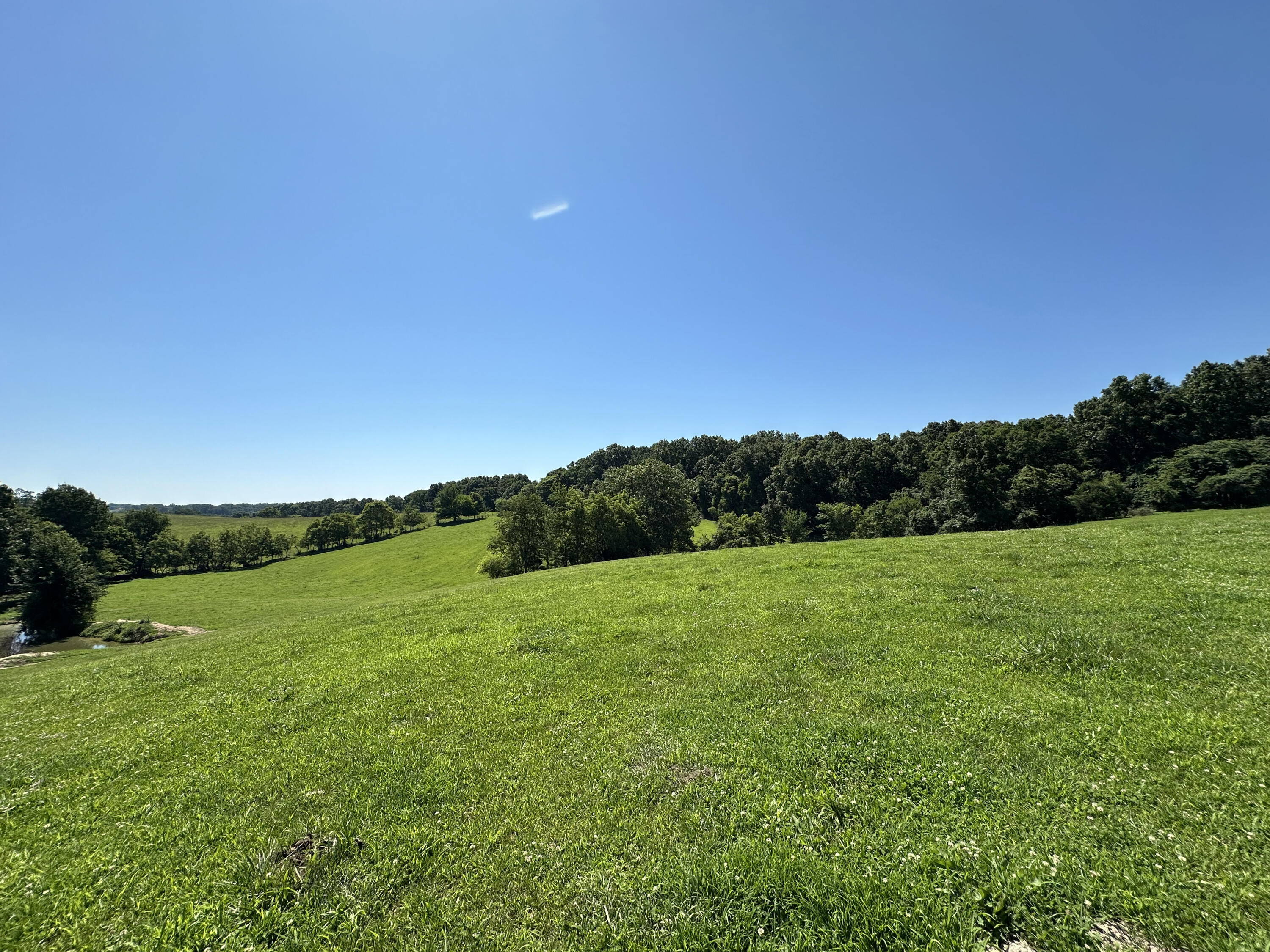 Photo 20 - Farm for sale – 443  Marsha Road  Billings, MO