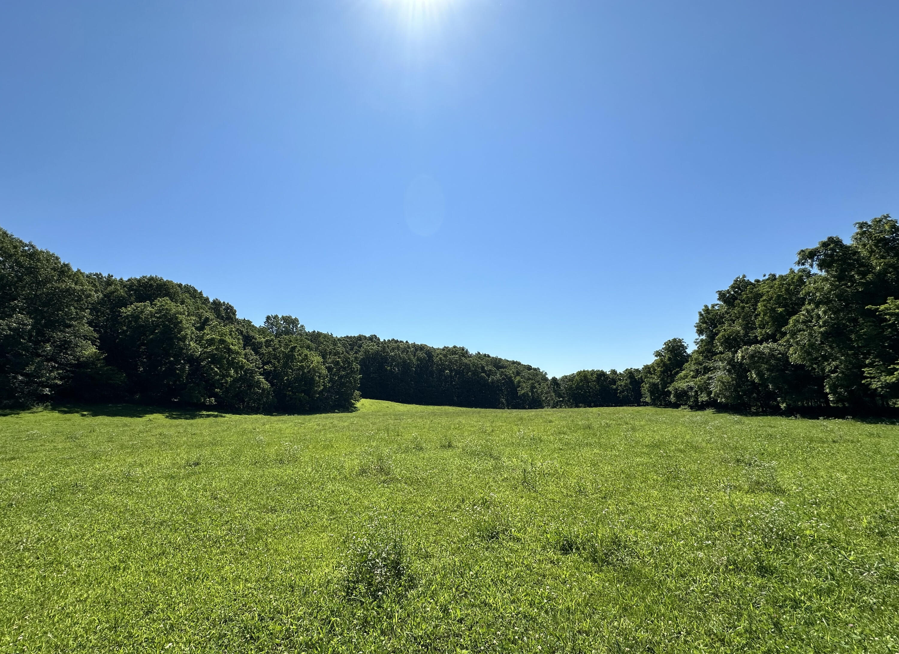 Farm for sale – 443  Marsha Road  Billings, MO