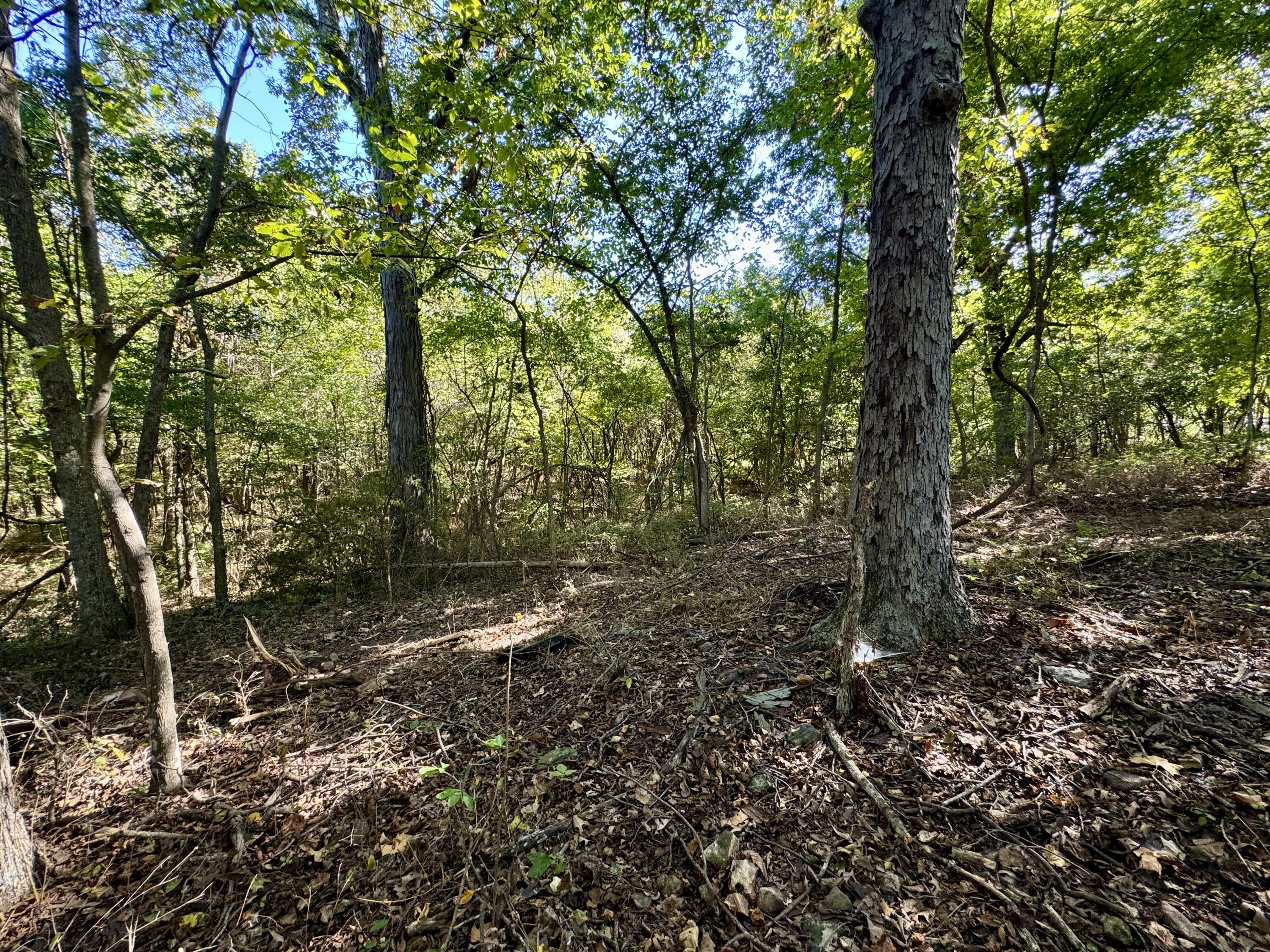 Photo 3 - Land for sale – 2548 N Arrow Lane  Springfield, MO