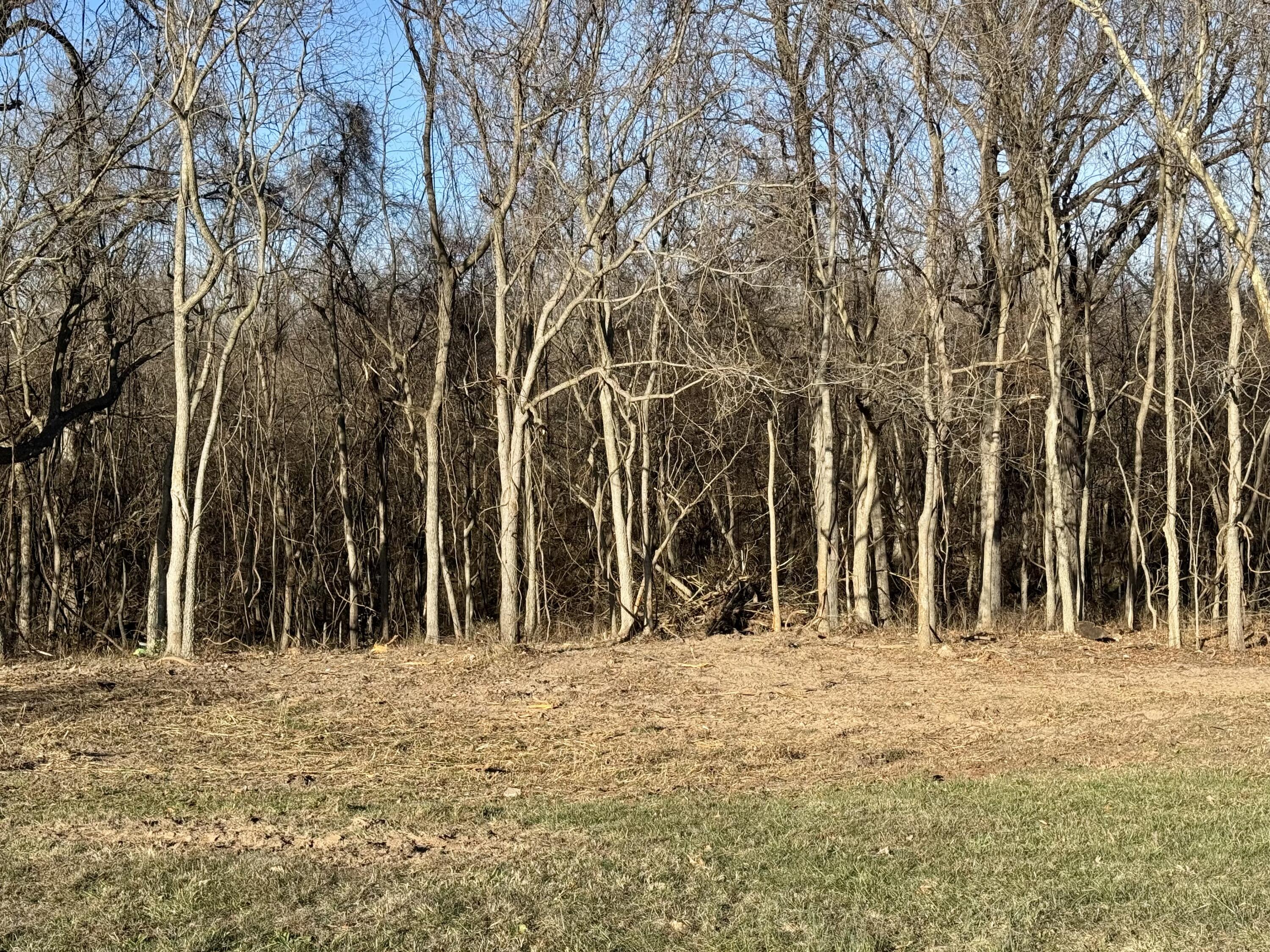 Photo 10 - Land for sale – 2548 N Arrow Lane  Springfield, MO