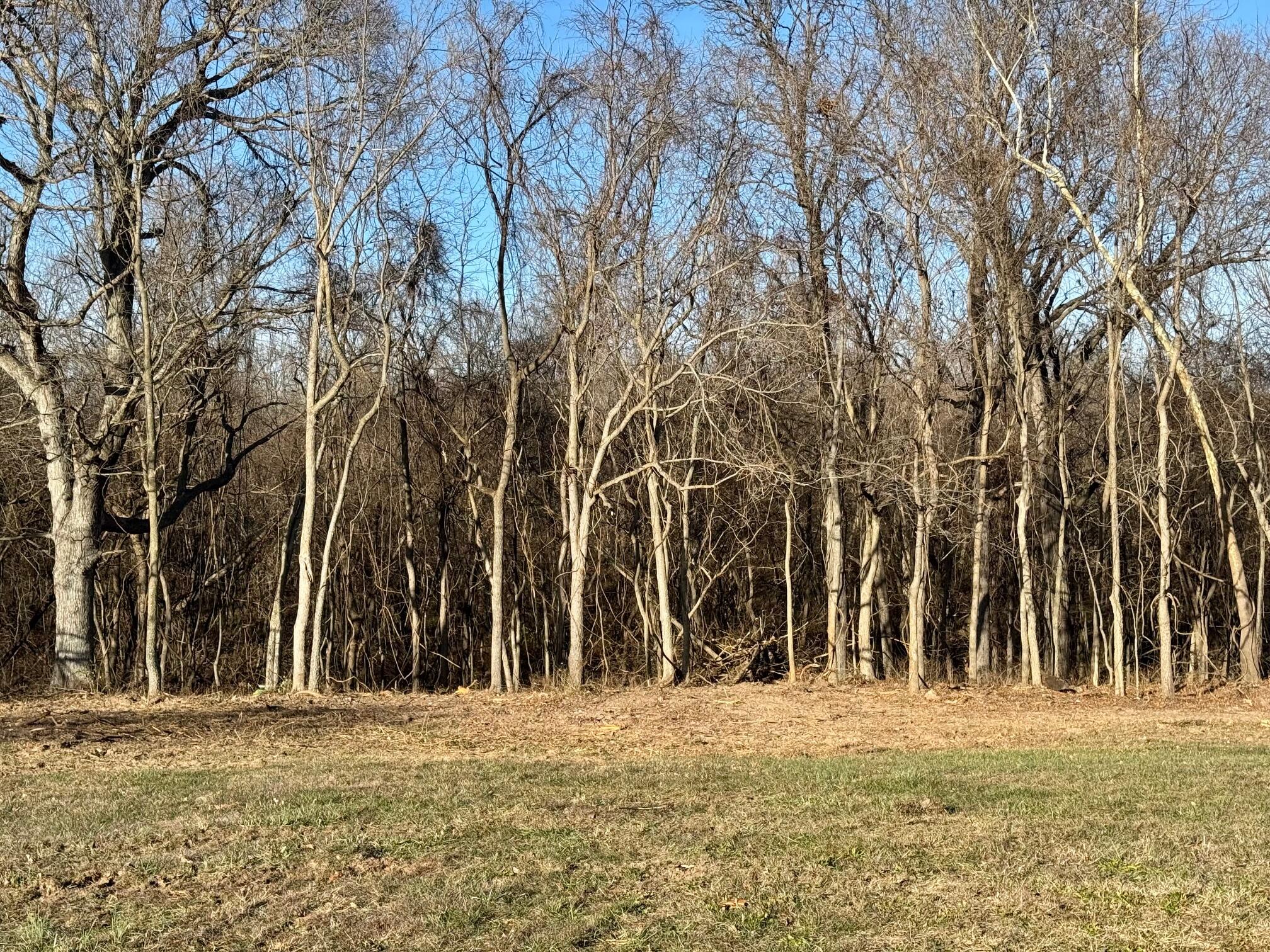 Photo 9 - Land for sale – 2548 N Arrow Lane  Springfield, MO
