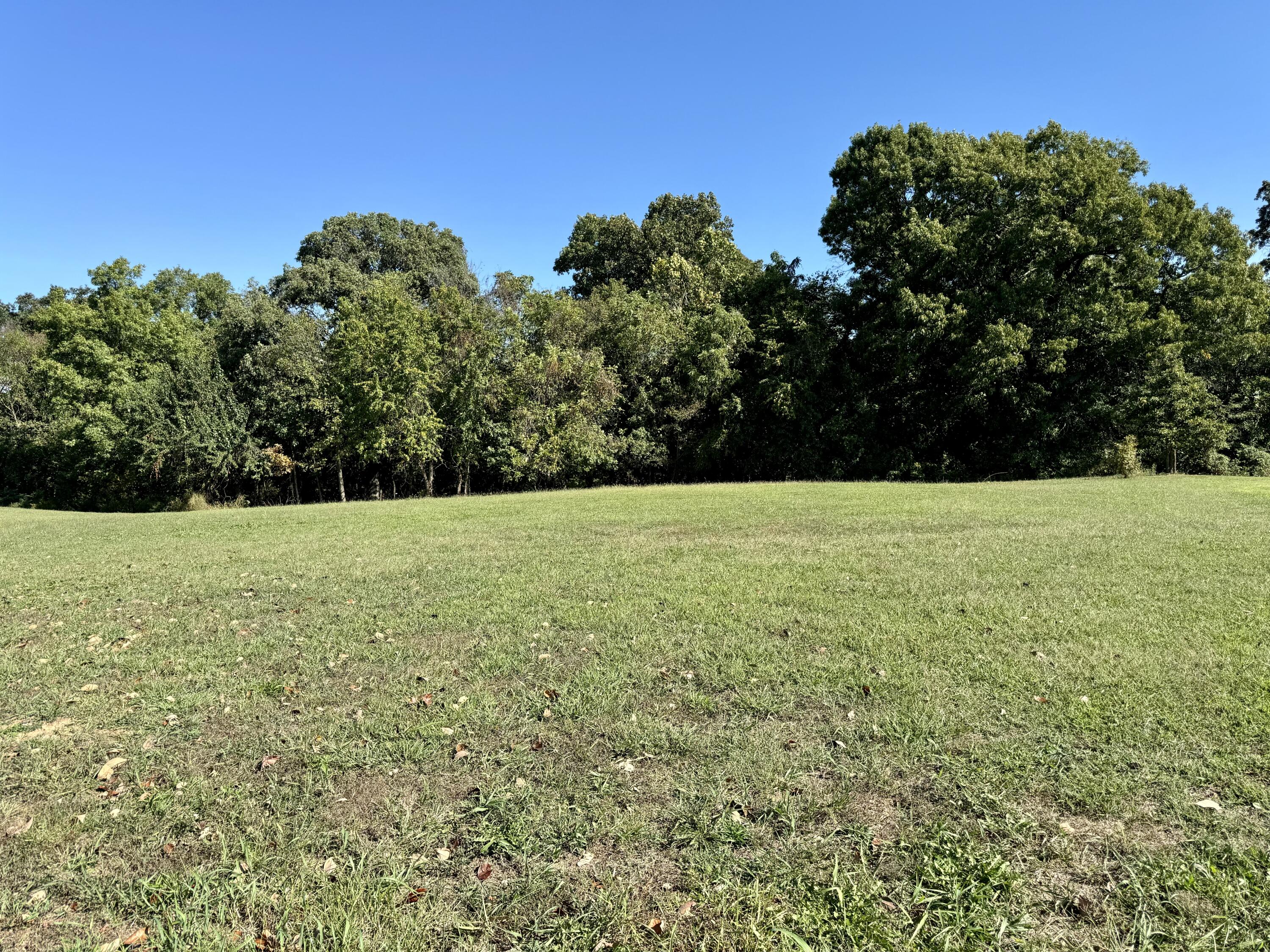 Photo 6 - Land for sale – 2548 N Arrow Lane  Springfield, MO