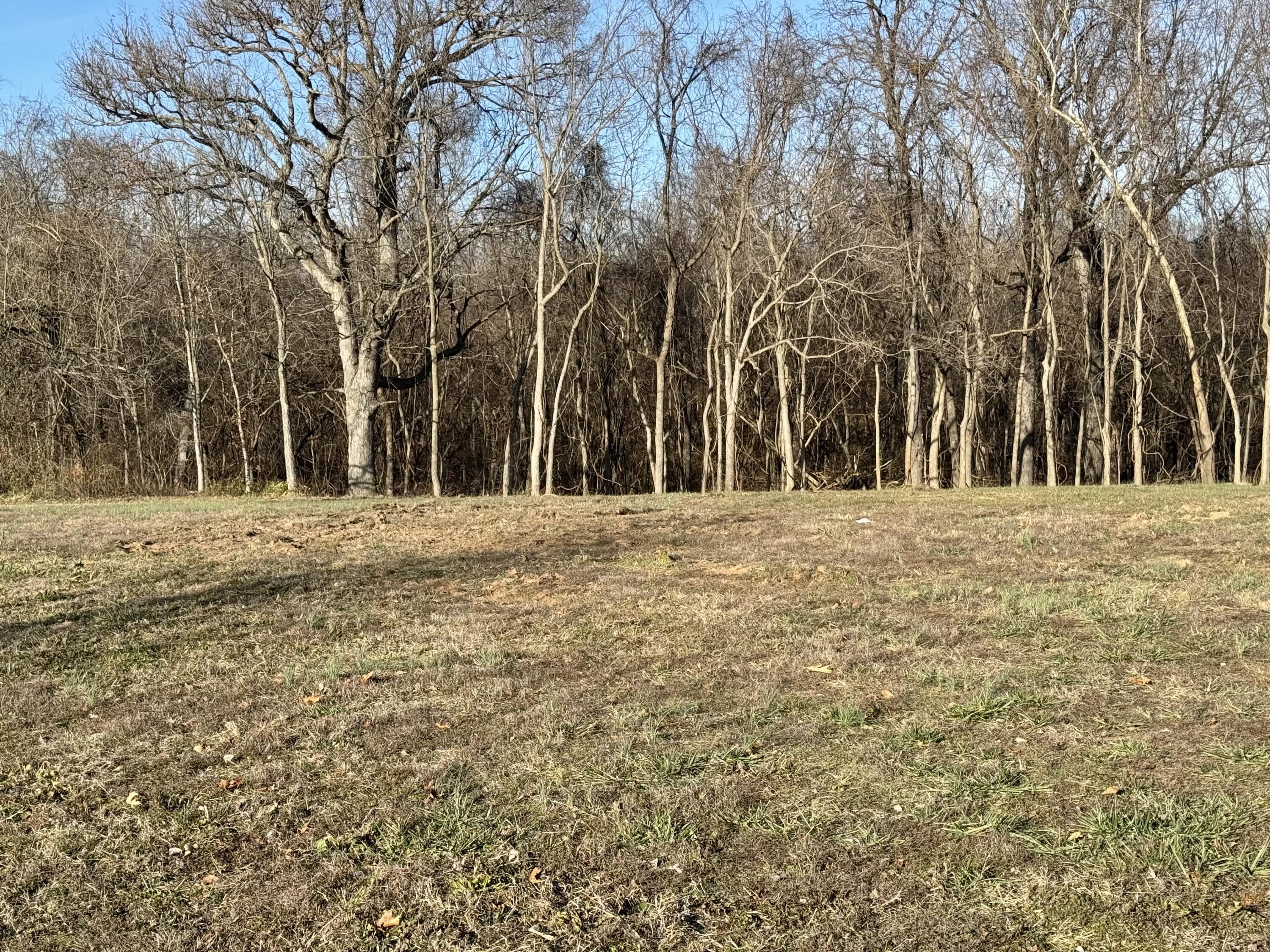 Photo 8 - Land for sale – 2548 N Arrow Lane  Springfield, MO