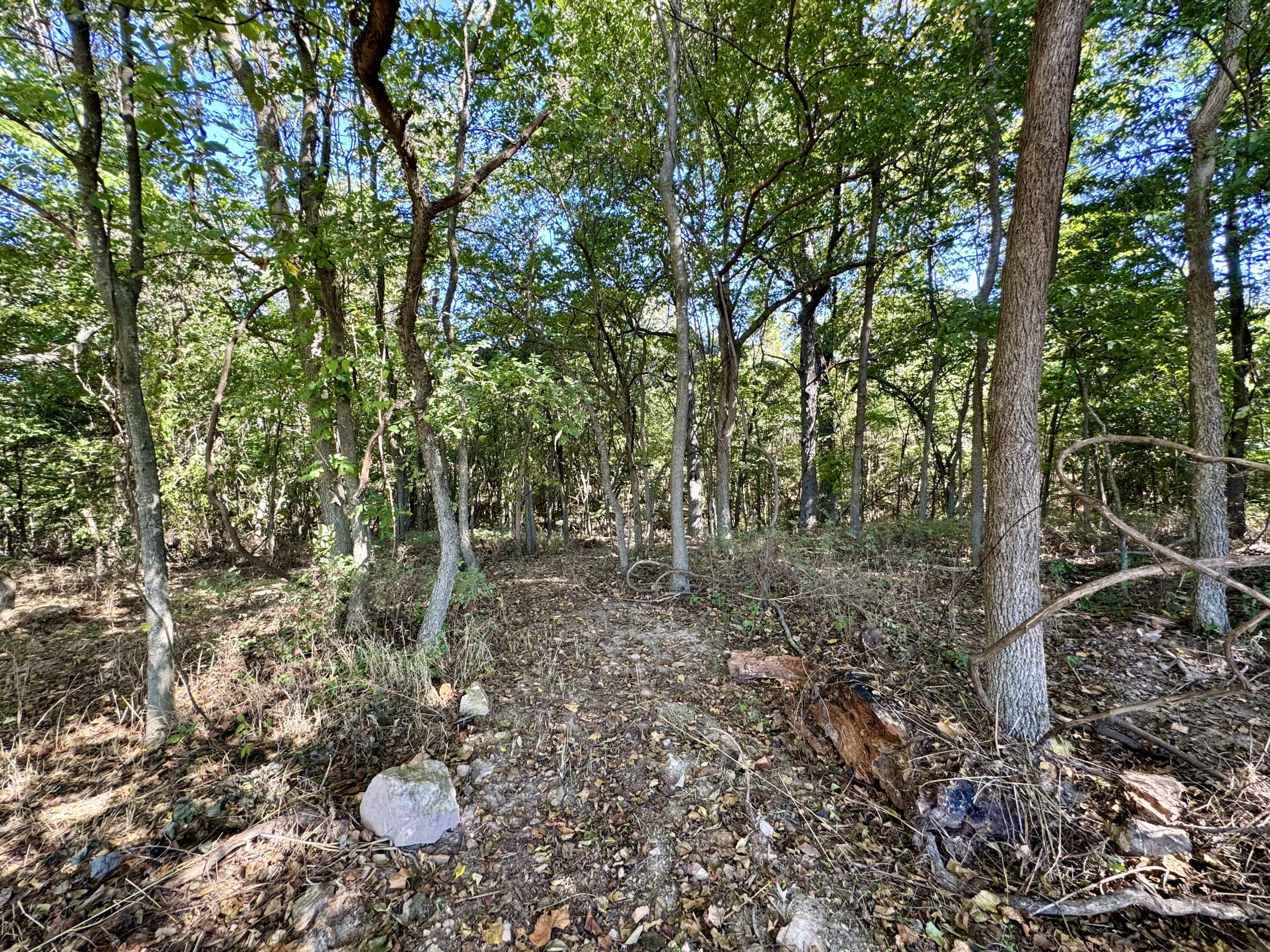 Photo 4 - Land for sale – 2548 N Arrow Lane  Springfield, MO