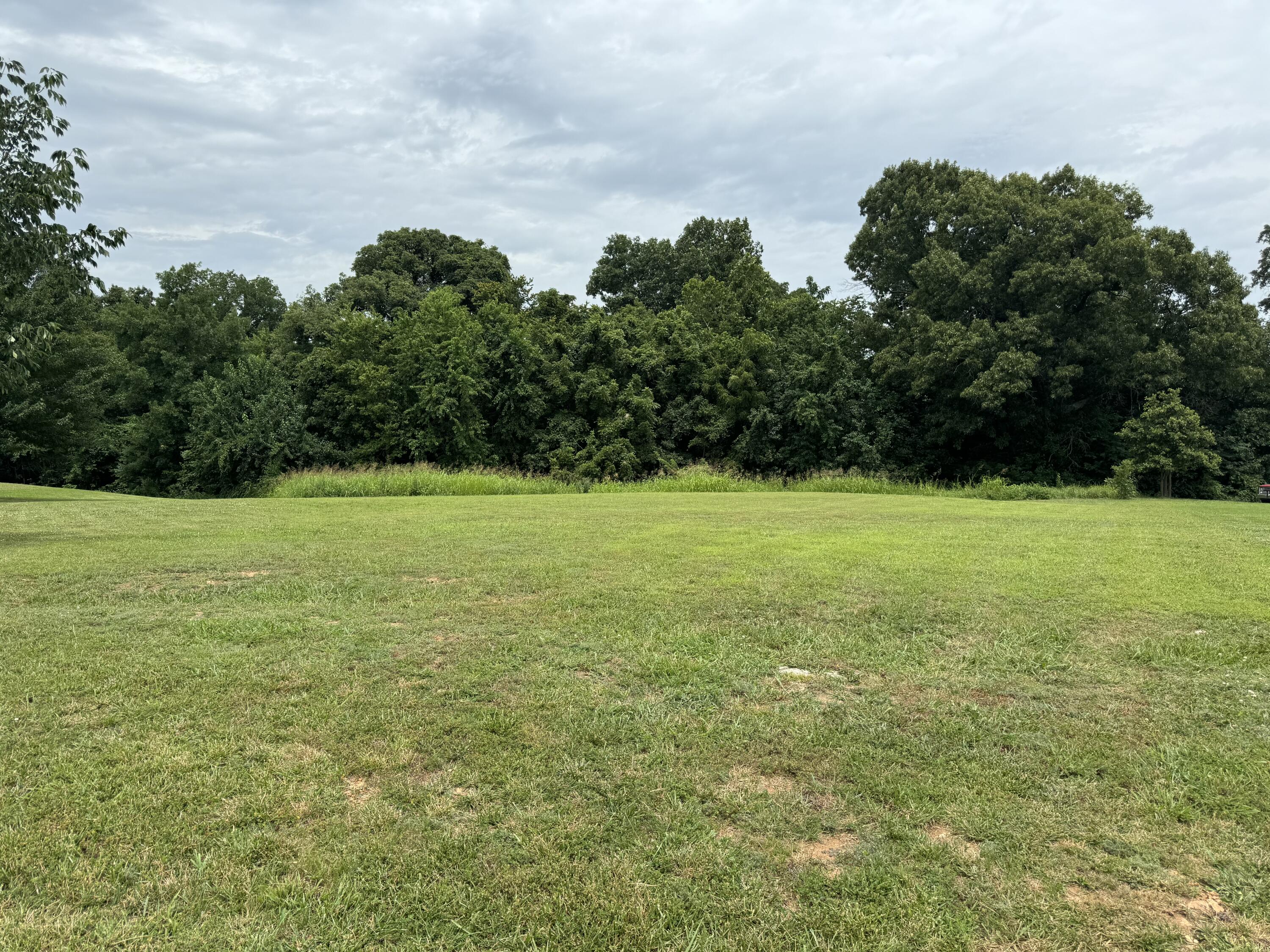 Photo 2 - Land for sale – 2548 N Arrow Lane  Springfield, MO