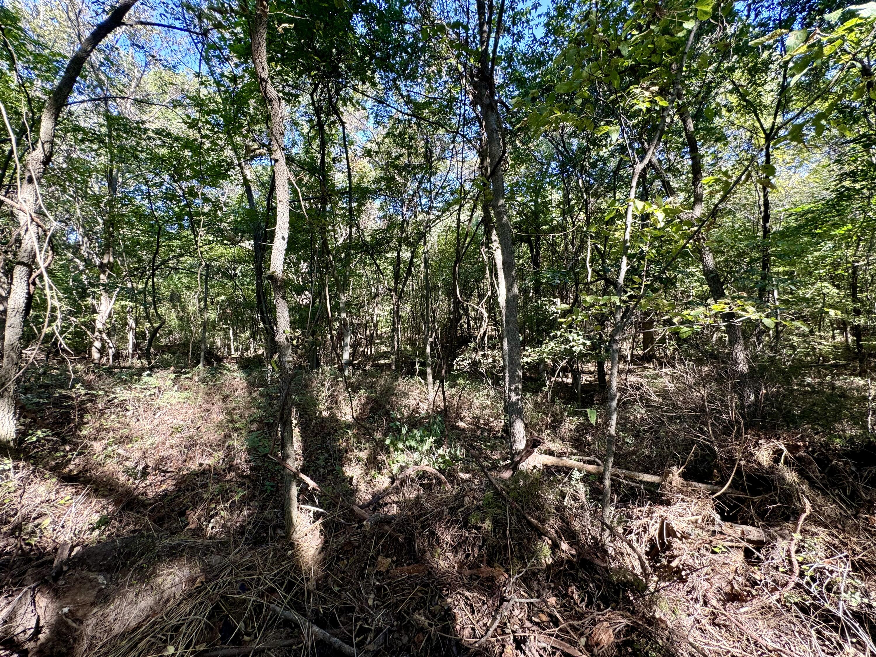 Photo 5 - Land for sale – 2548 N Arrow Lane  Springfield, MO
