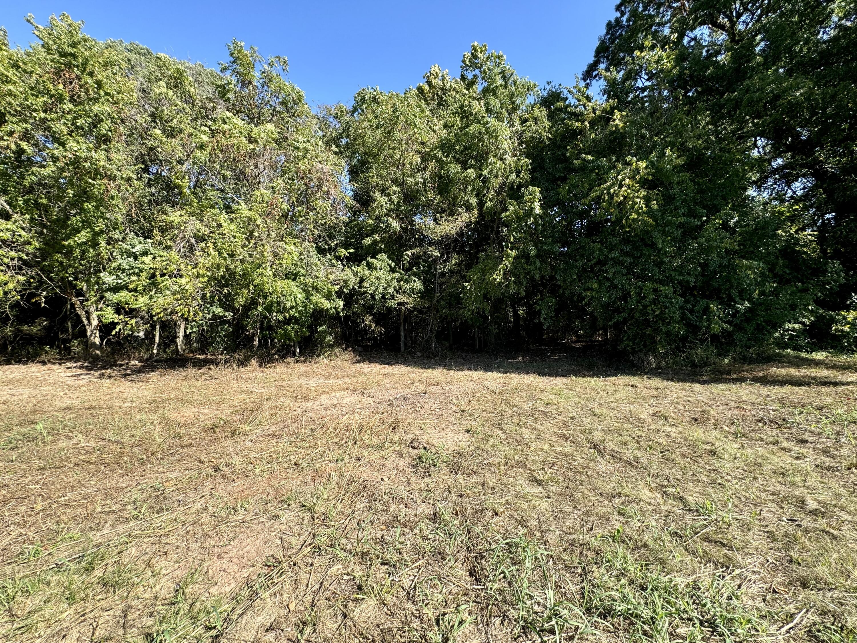 Photo 7 - Land for sale – 2548 N Arrow Lane  Springfield, MO