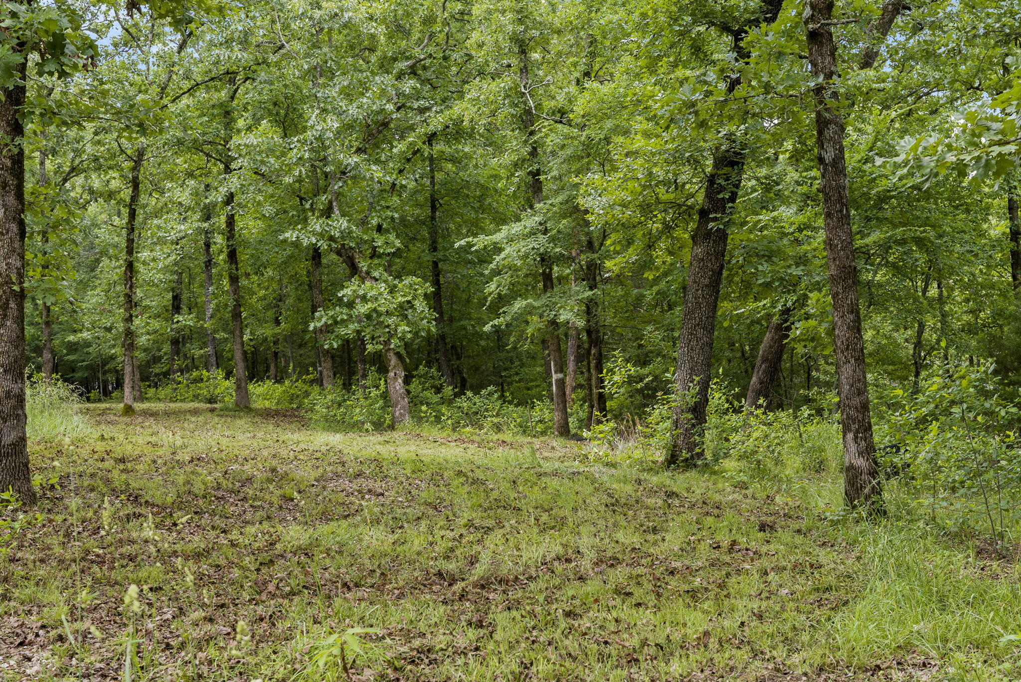 Photo 7 - Land for sale – Tbd  Terrace Park Road  Kimberling City, MO