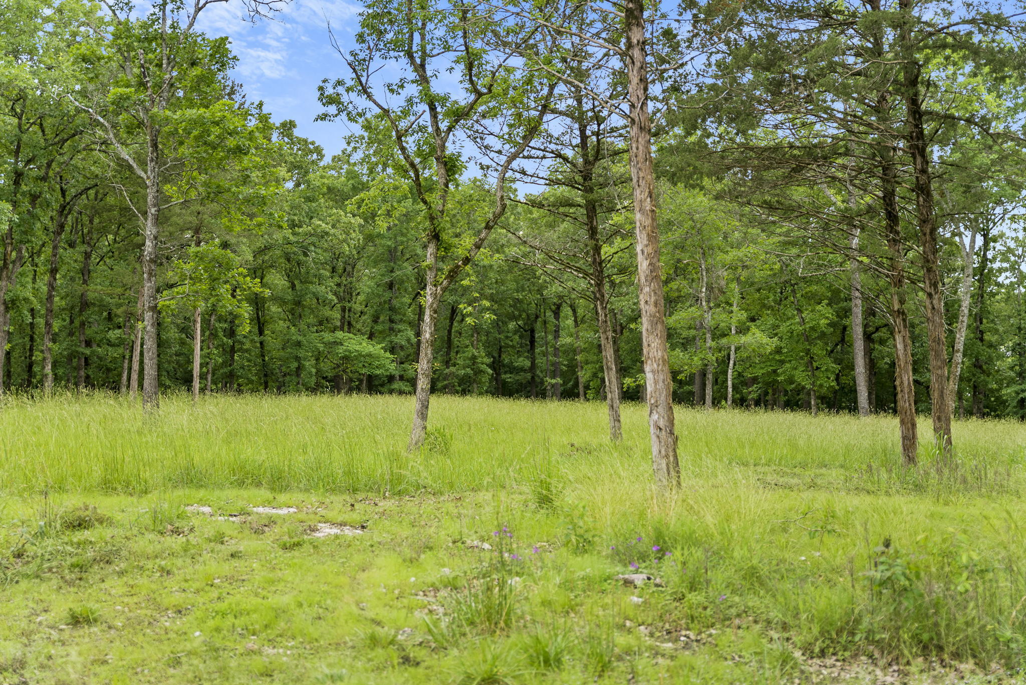 Photo 13 - Land for sale – Tbd  Terrace Park Road  Kimberling City, MO