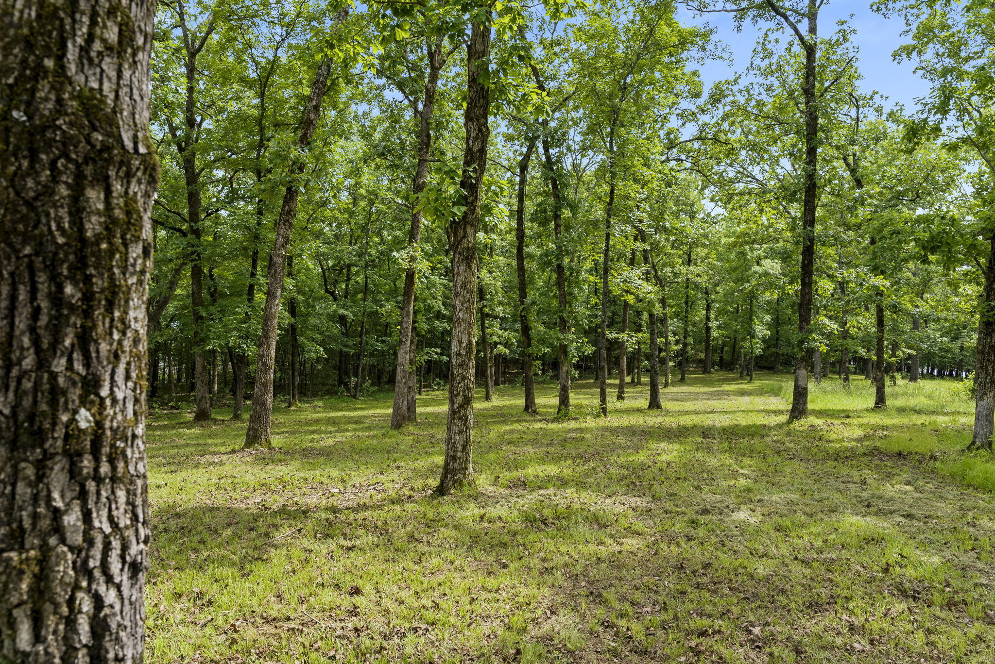 Photo 12 - Land for sale – Tbd  Terrace Park Road  Kimberling City, MO