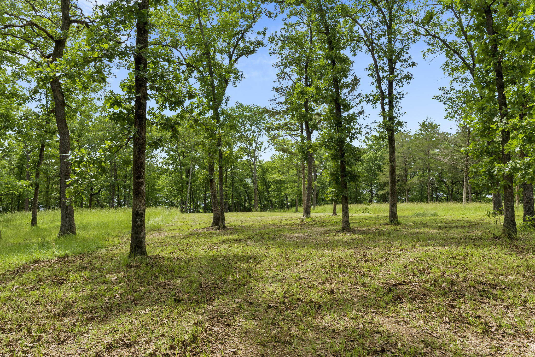 Photo 6 - Land for sale – Tbd  Terrace Park Road  Kimberling City, MO