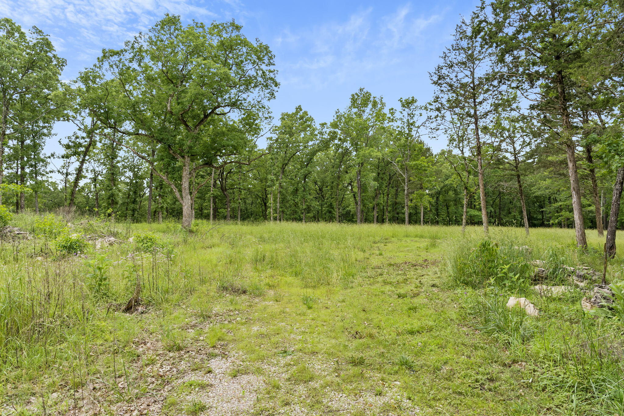 Photo 11 - Land for sale – Tbd  Terrace Park Road  Kimberling City, MO