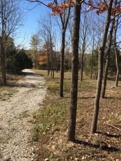 Photo 12 - Land for sale – 858  Kimberlin Mill Road   Clever, MO