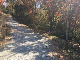 Photo 3 - Land for sale – 858  Kimberlin Mill Road   Clever, MO