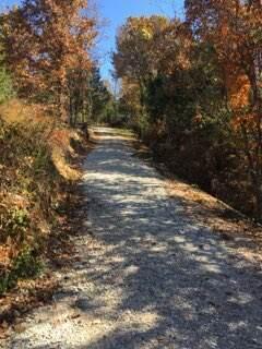Photo 19 - Land for sale – 858  Kimberlin Mill Road   Clever, MO