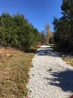 Photo 4 - Land for sale – 858  Kimberlin Mill Road   Clever, MO