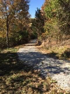Photo 13 - Land for sale – 858  Kimberlin Mill Road   Clever, MO
