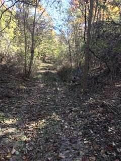 Photo 18 - Land for sale – 858  Kimberlin Mill Road   Clever, MO