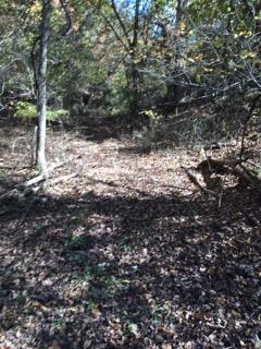 Photo 16 - Land for sale – 858  Kimberlin Mill Road   Clever, MO