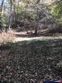 Photo 17 - Land for sale – 858  Kimberlin Mill Road   Clever, MO