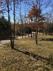 Photo 14 - Land for sale – 858  Kimberlin Mill Road   Clever, MO