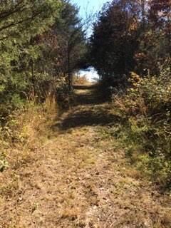 Photo 15 - Land for sale – 858  Kimberlin Mill Road   Clever, MO