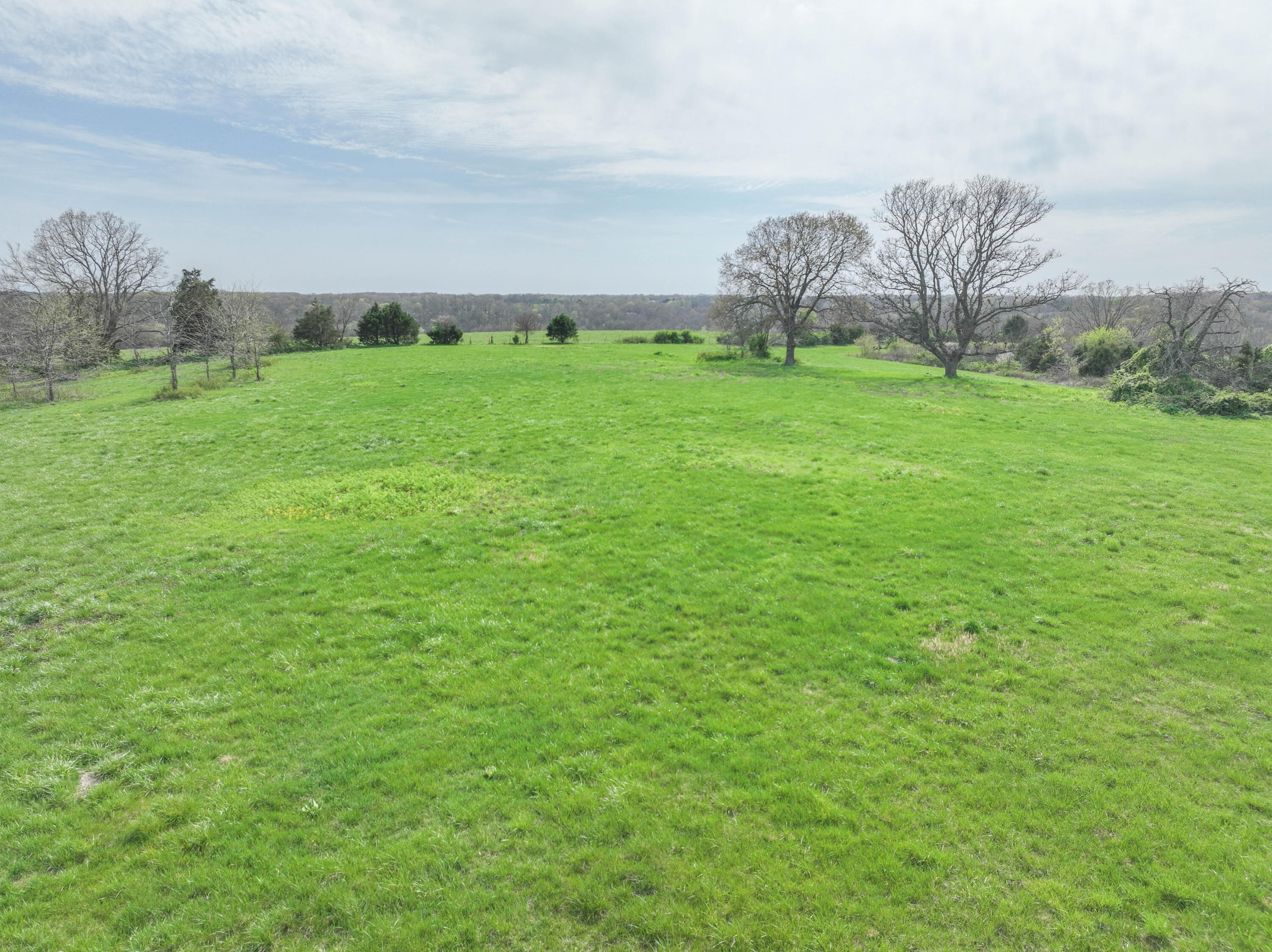 Photo 15 - Land for sale – 858  Kimberlin Mill Road   Clever, MO